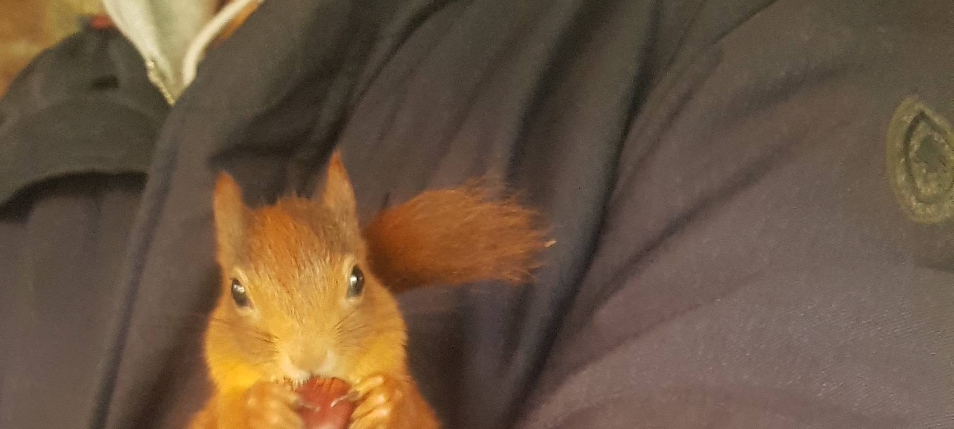 Tierrettung im Herbst: Hilfe im Rhein-Kreis Neuss