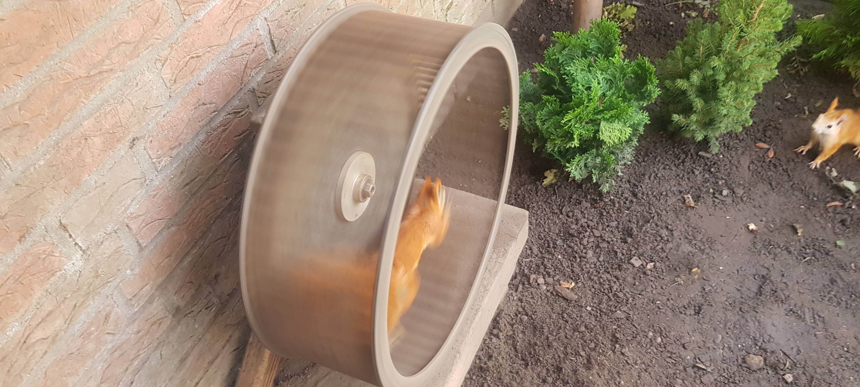 Tierrettung im Herbst: Hilfe im Rhein-Kreis Neuss