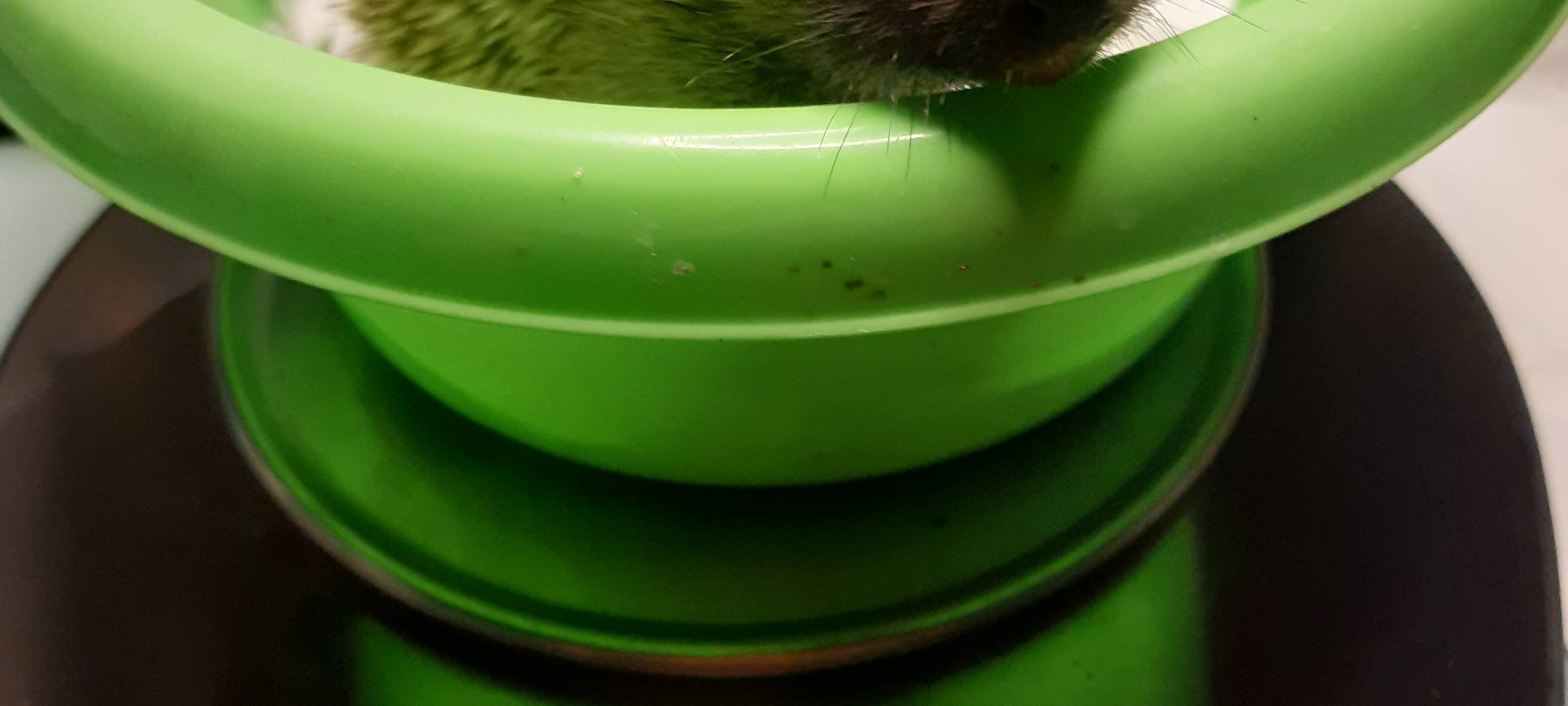 Tierrettung im Herbst: Hilfe im Rhein-Kreis Neuss