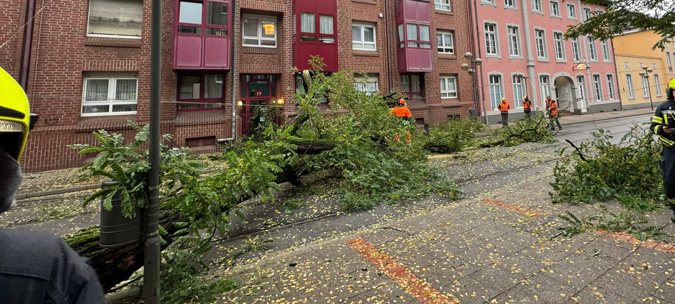 Neuss: Baum auf Oberstraße umgestürzt