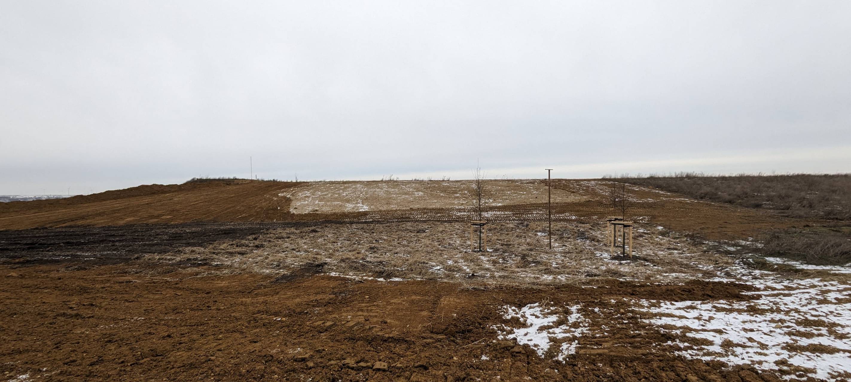 Ein Moor im Rhein-Kreis Neuss