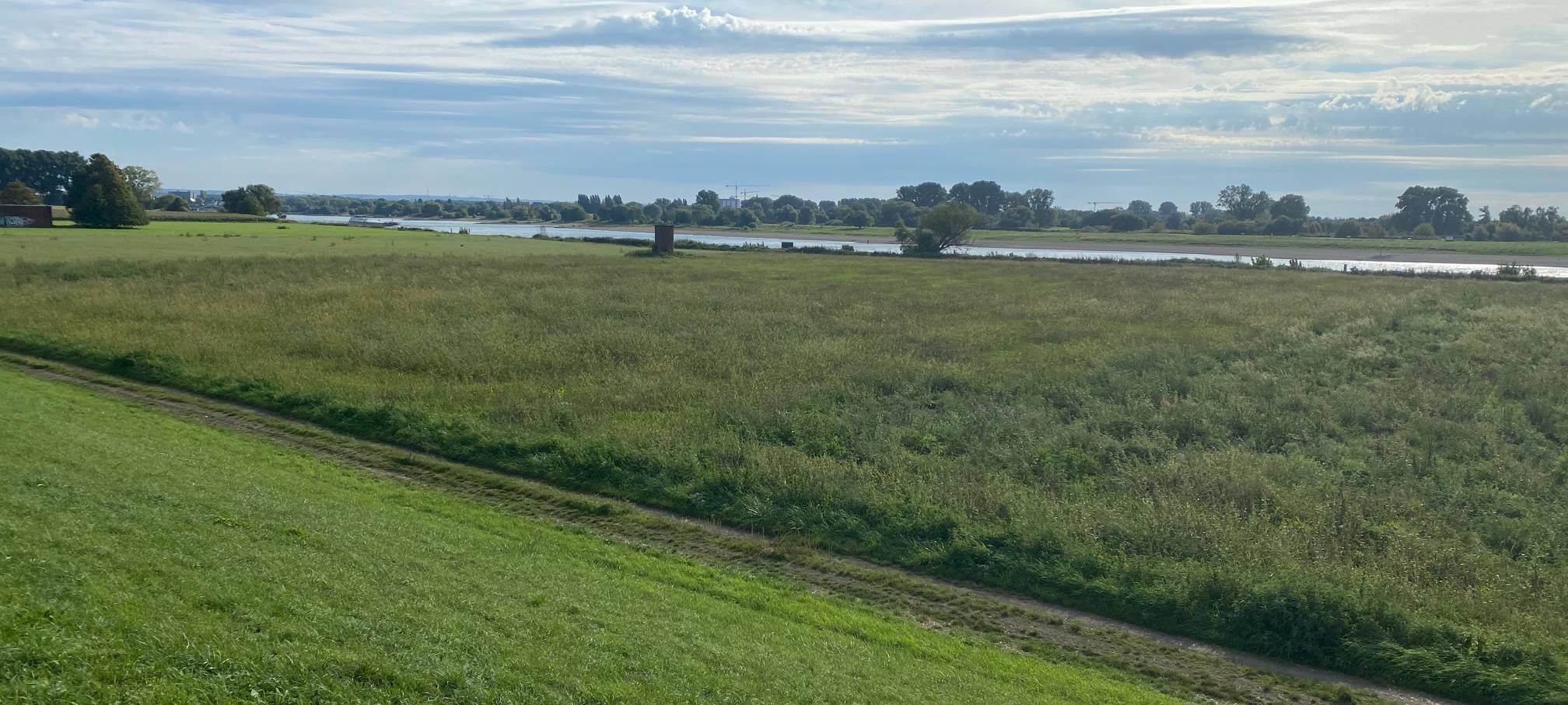 Greenpeace warnt vor Chemikalie im Rhein