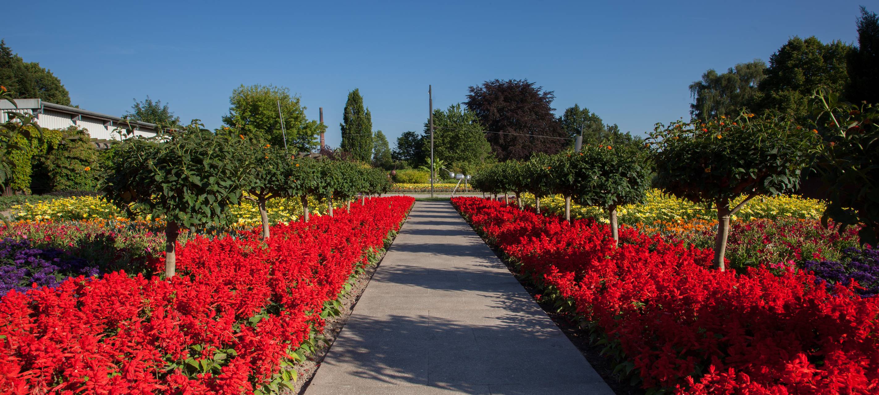 Pläne für Landesgartenschau in Neuss