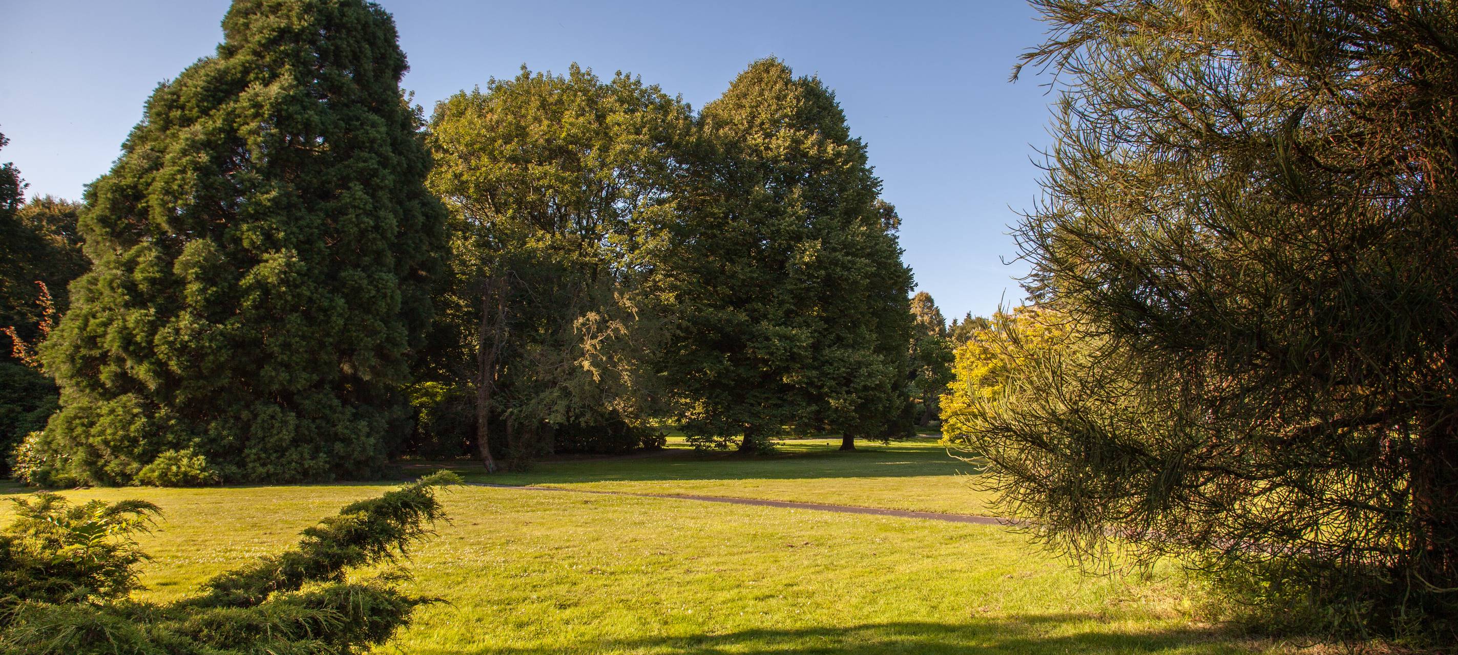 Starkregen im Rhein-Kreis Neuss - Was wir tun können?