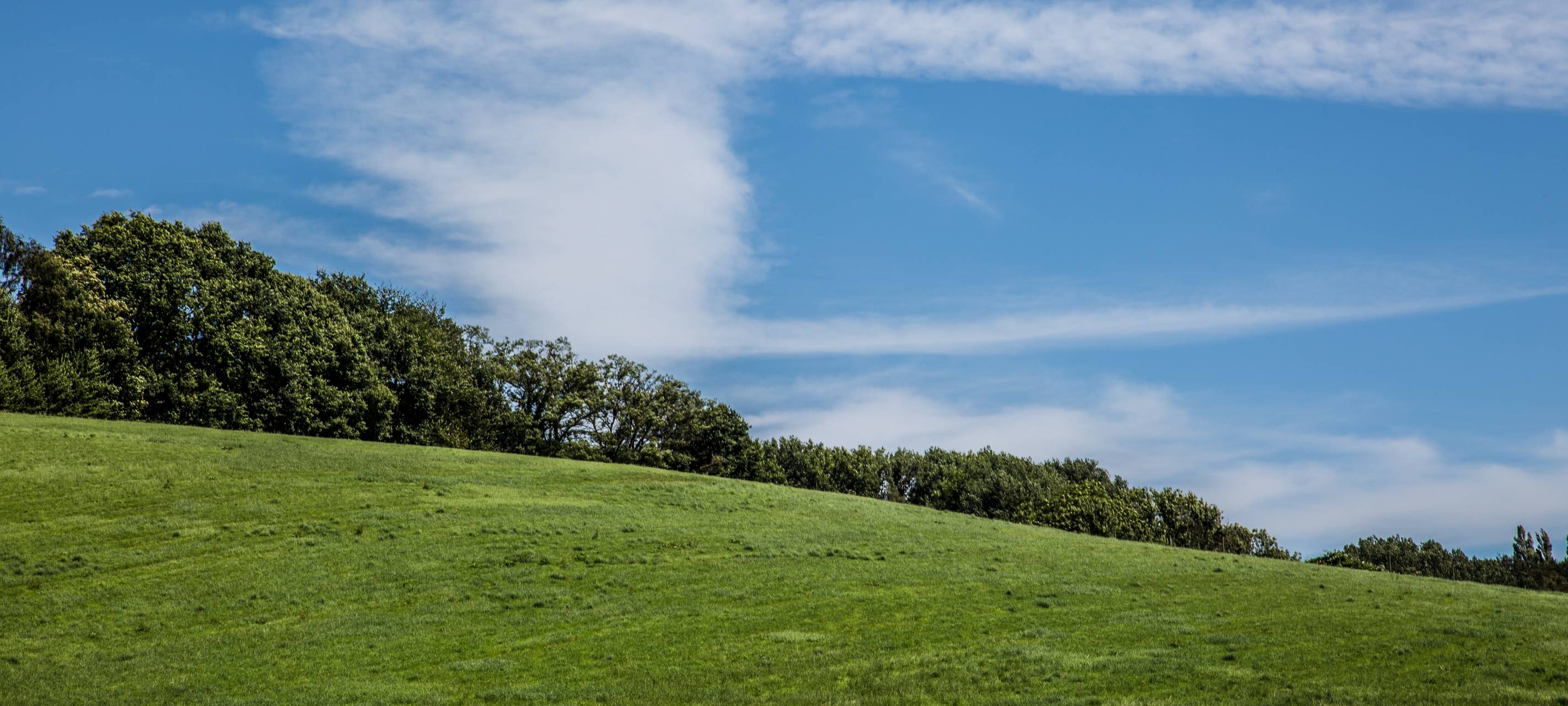 Rhein-Kreis Neuss auf Touristik-Messe vertreten