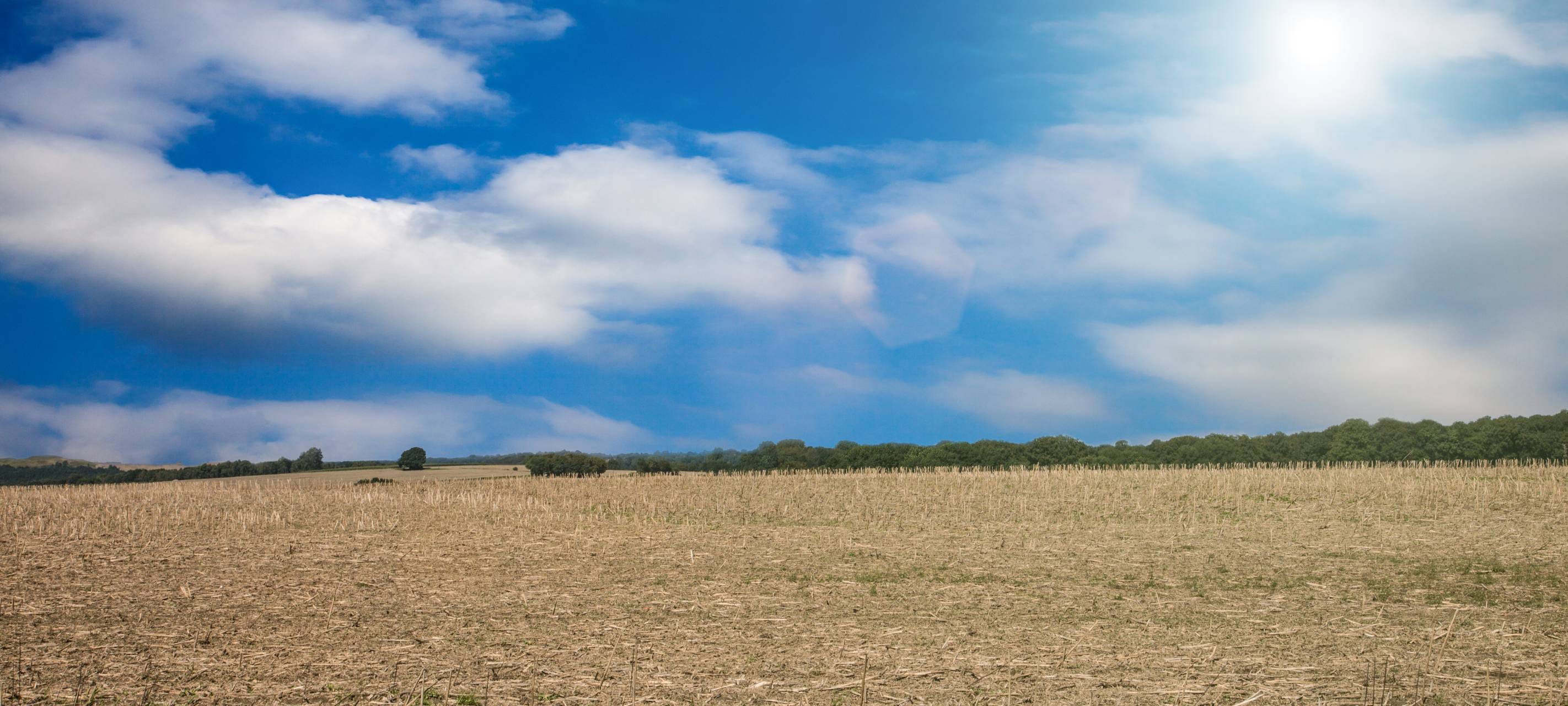 Bodenuntersuchungen in Grevenbroich und Rommerskirchen