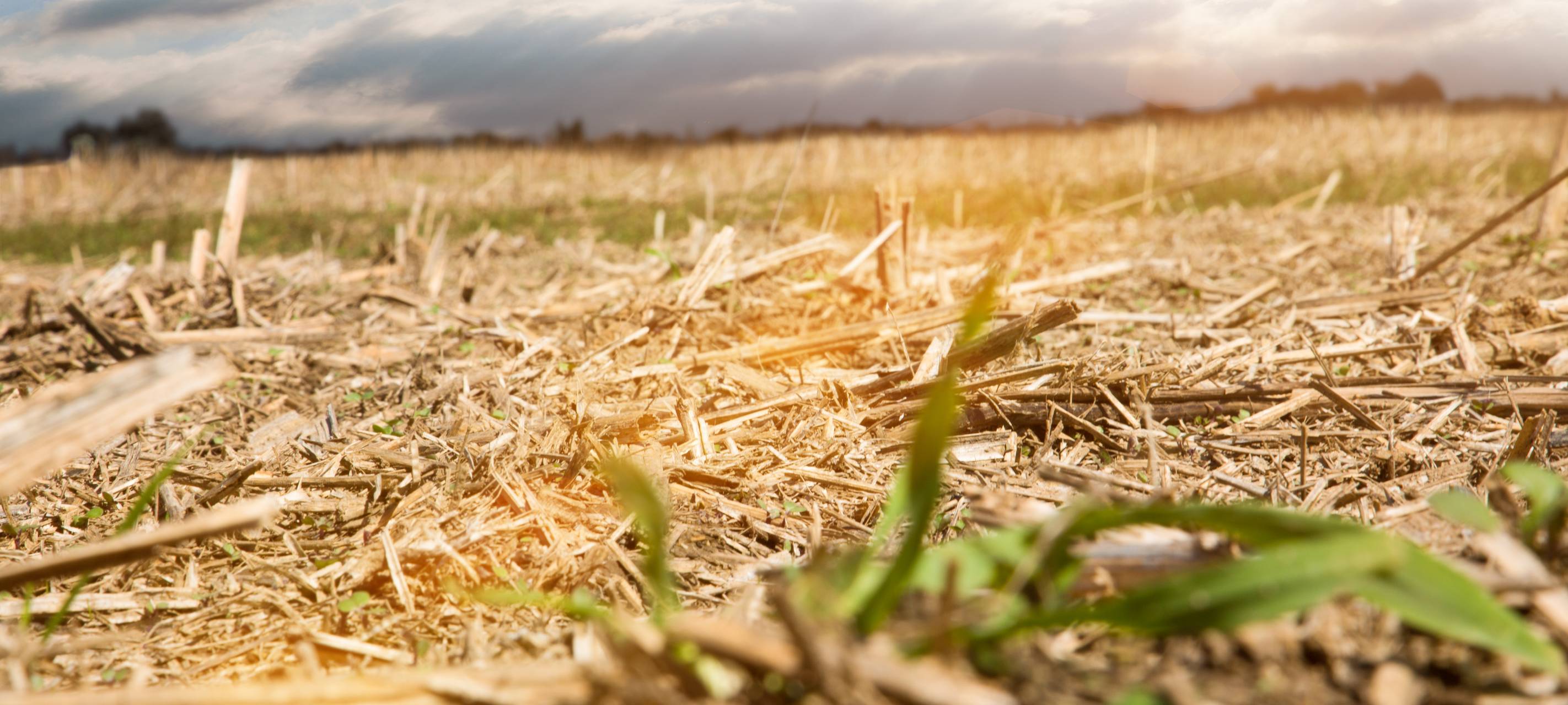 Brennende Strohballen in Dormagen