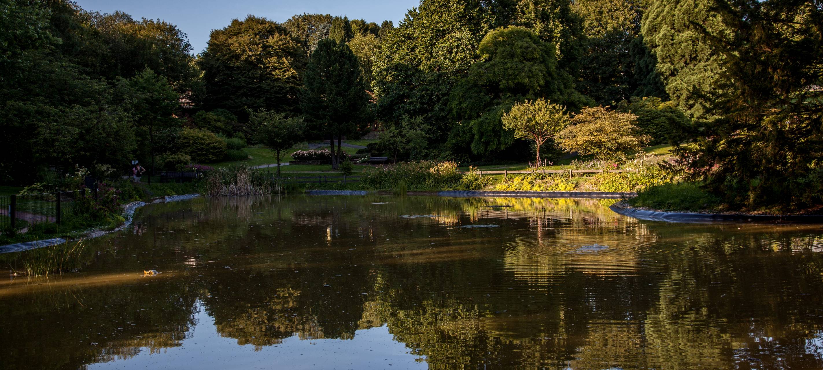DLRG warnt vor Schwimmen an illegalen Stellen im Kreisgebiet