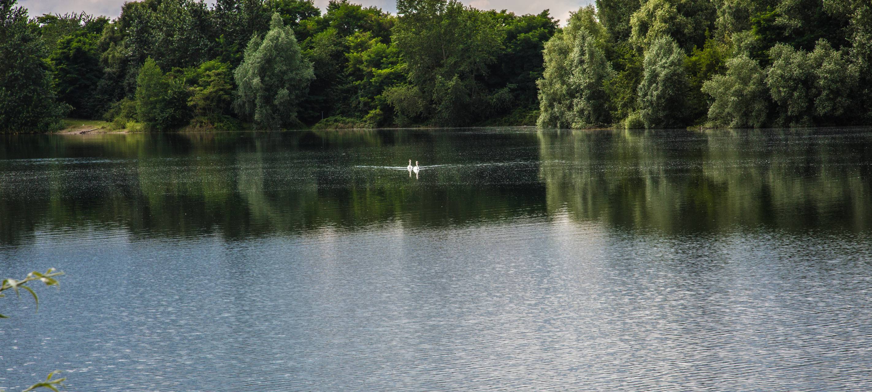 Rhein-Kreis Neuss: Vorbereitungen für die Freibad-Saison