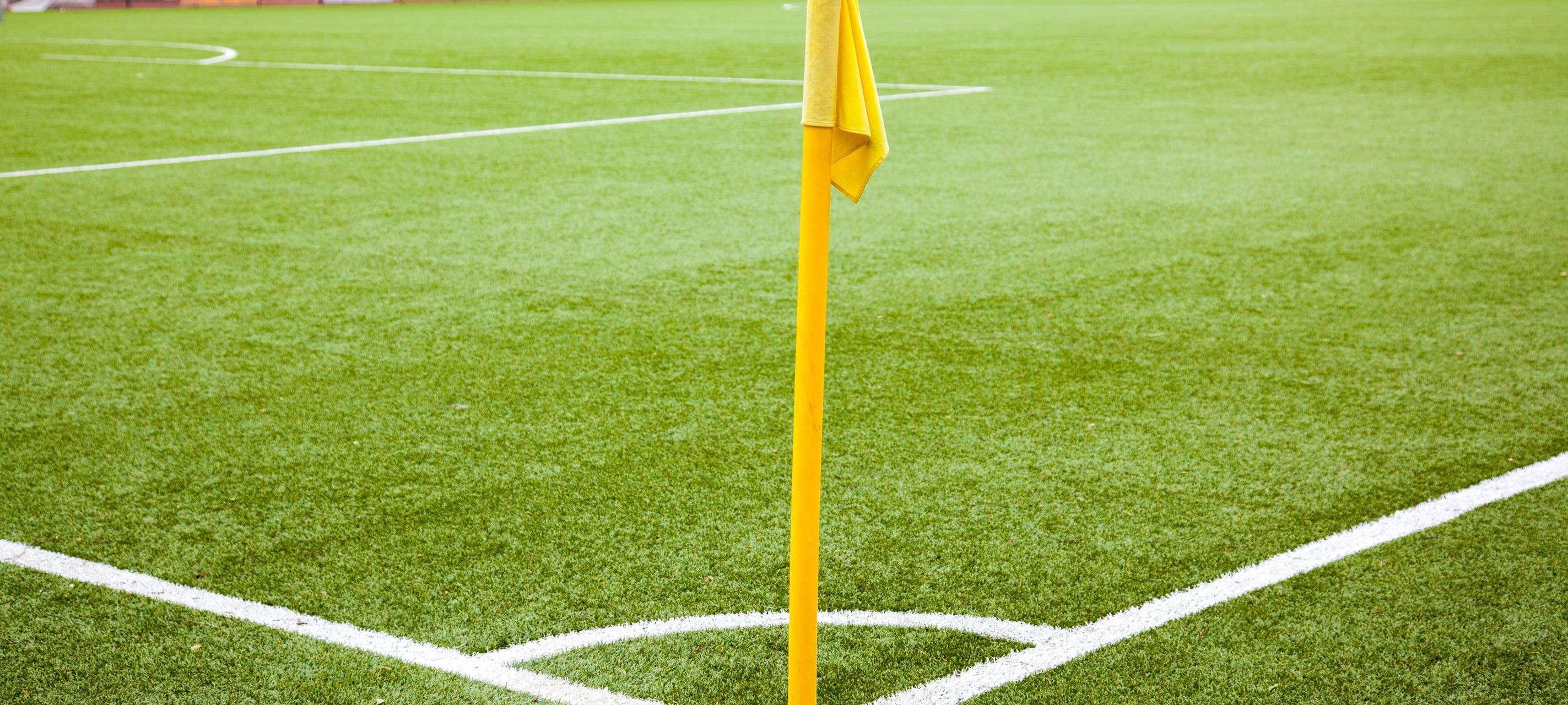 Kunstrasenplätze: Entwarnung