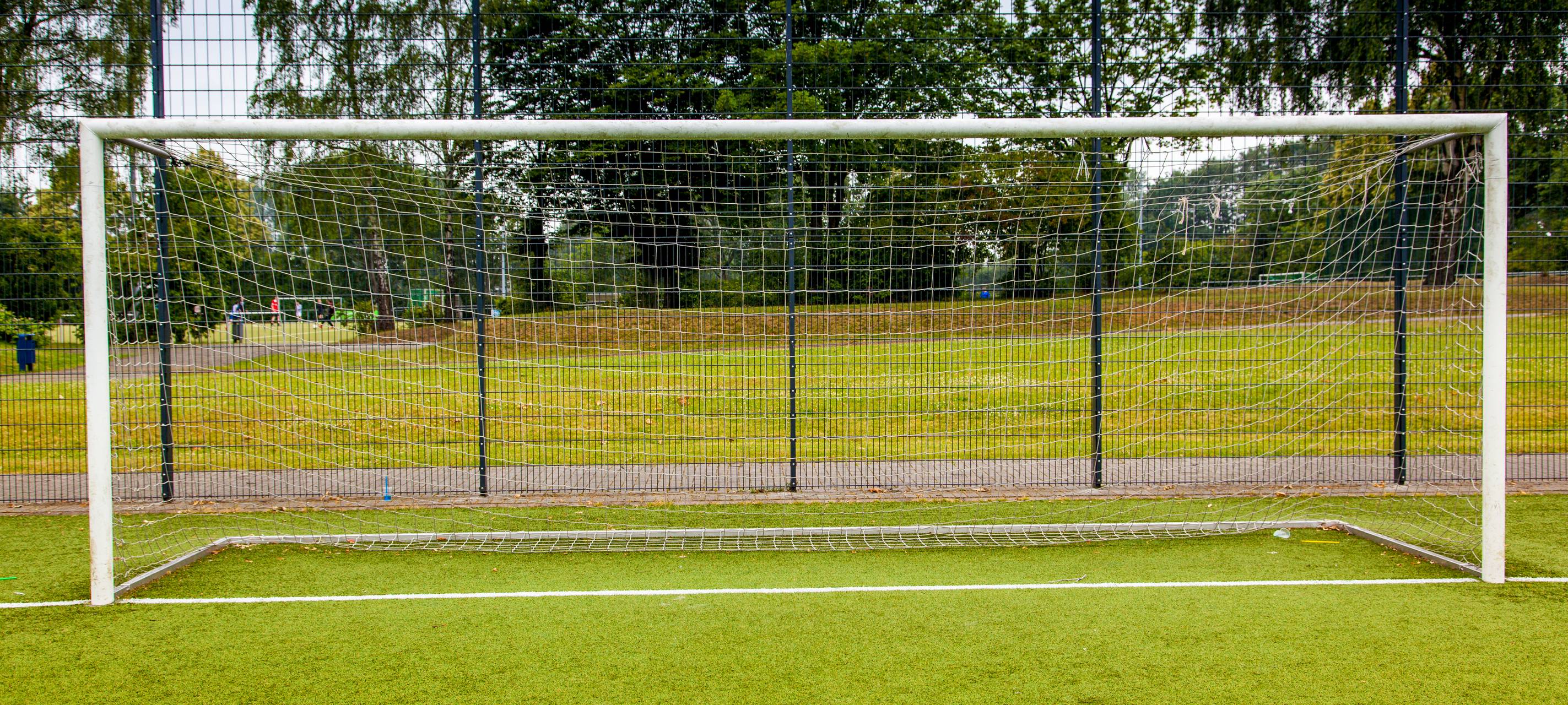 Kunstrasendiskussion: Kork statt Kunststoff