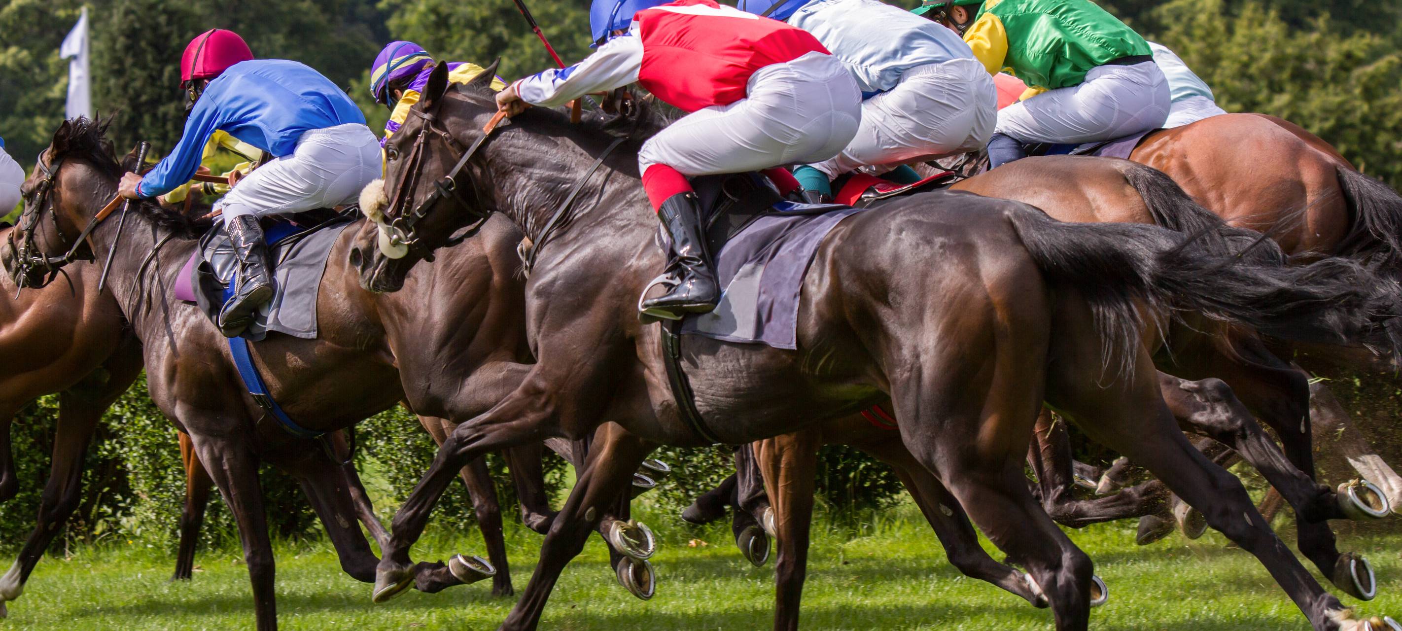 Galoppsport in Neuss soll wiederbelebt werden