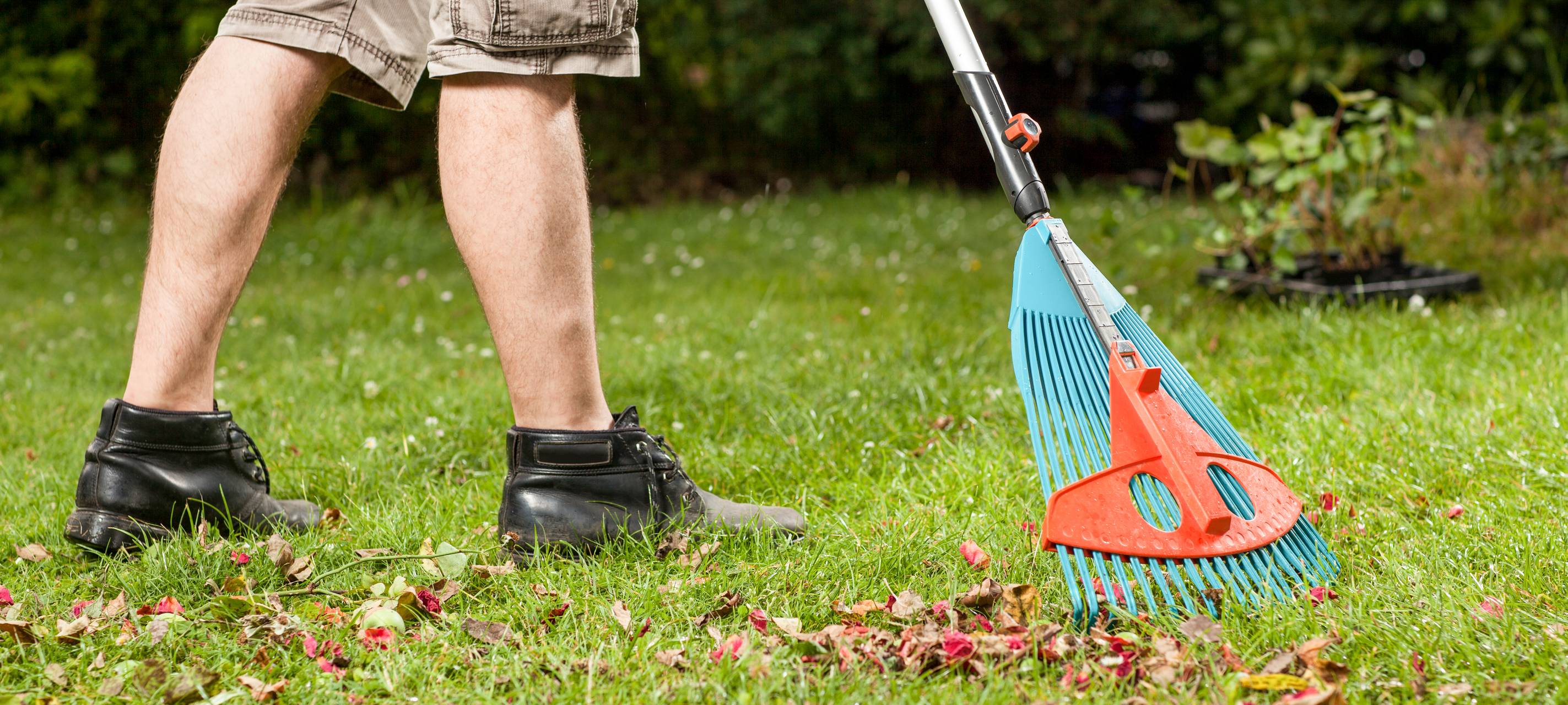 Kleingärten gefragt wie nie