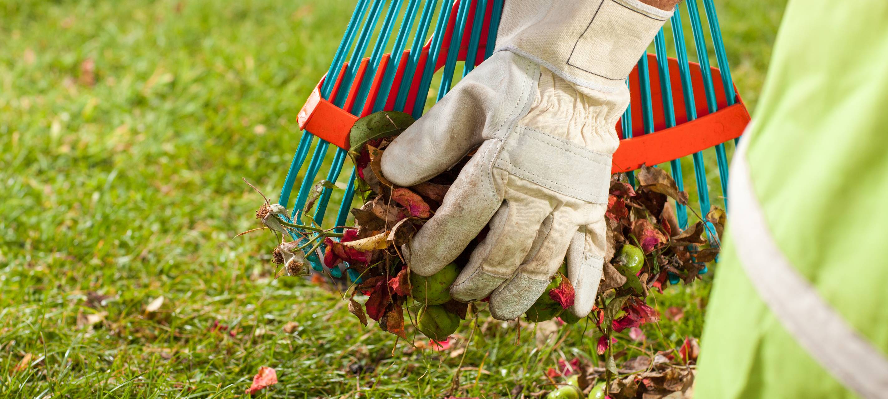 Laubentsorgung wird in Meerbusch hochgefahren