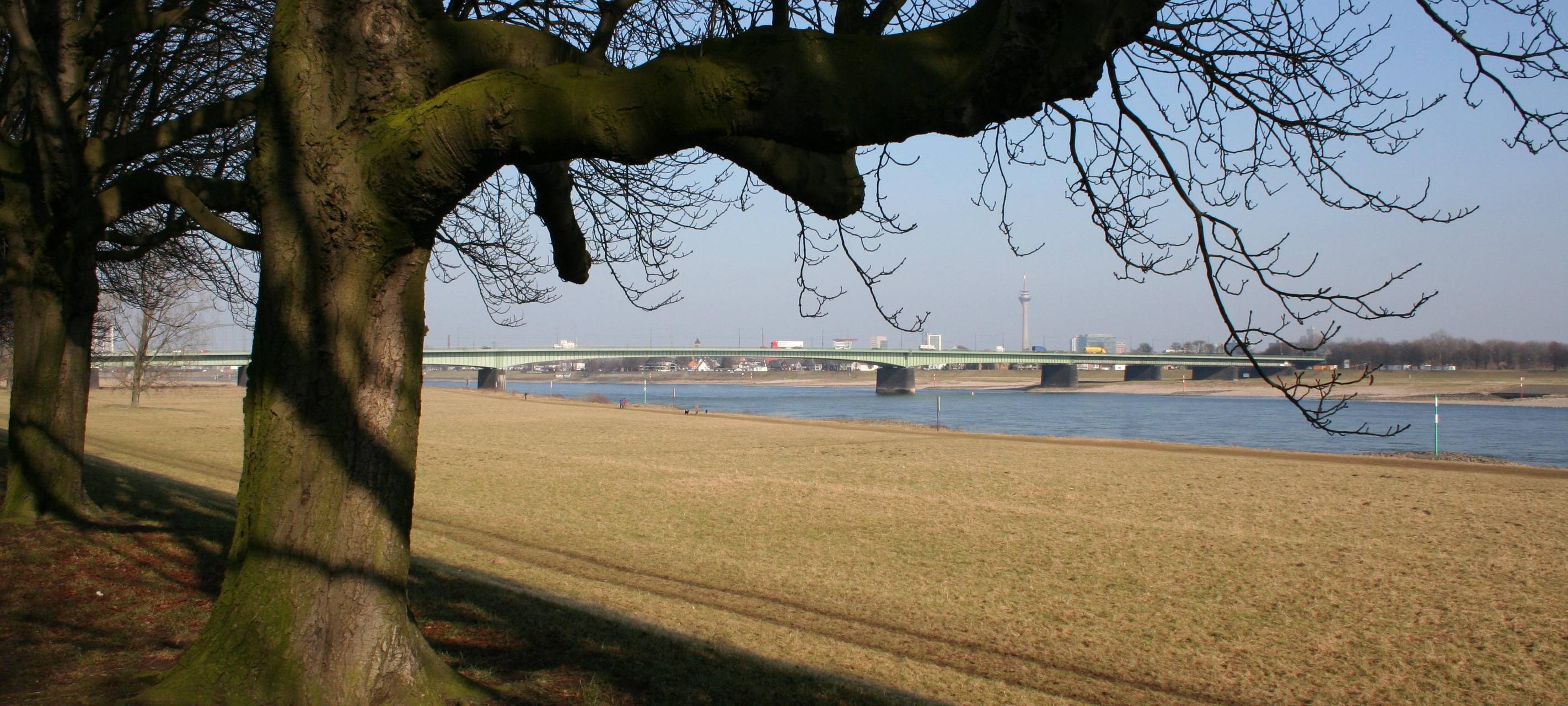 Diskussion um geplante Rheinvertiefung bei Dormagen