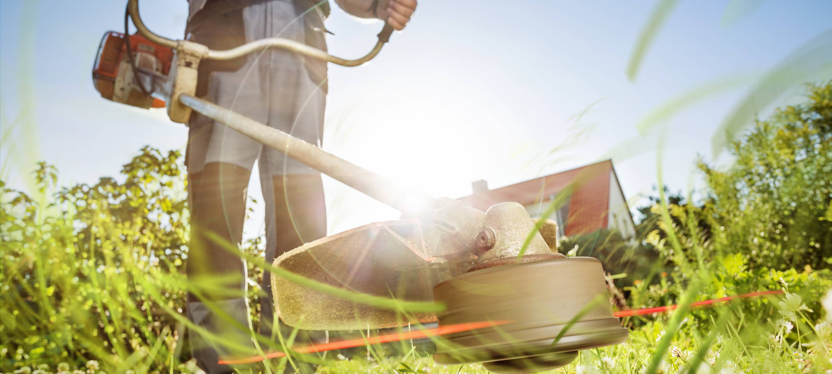 Dormagen fährt Grünpflege runter