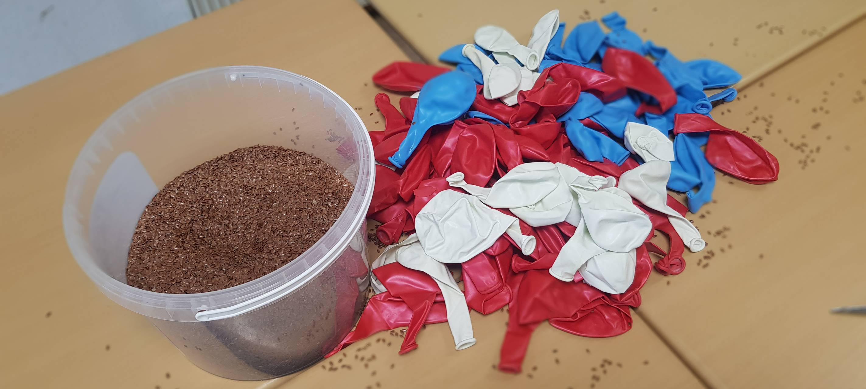 Jonglier-Weltrekordversuch am Gymnasium Norf