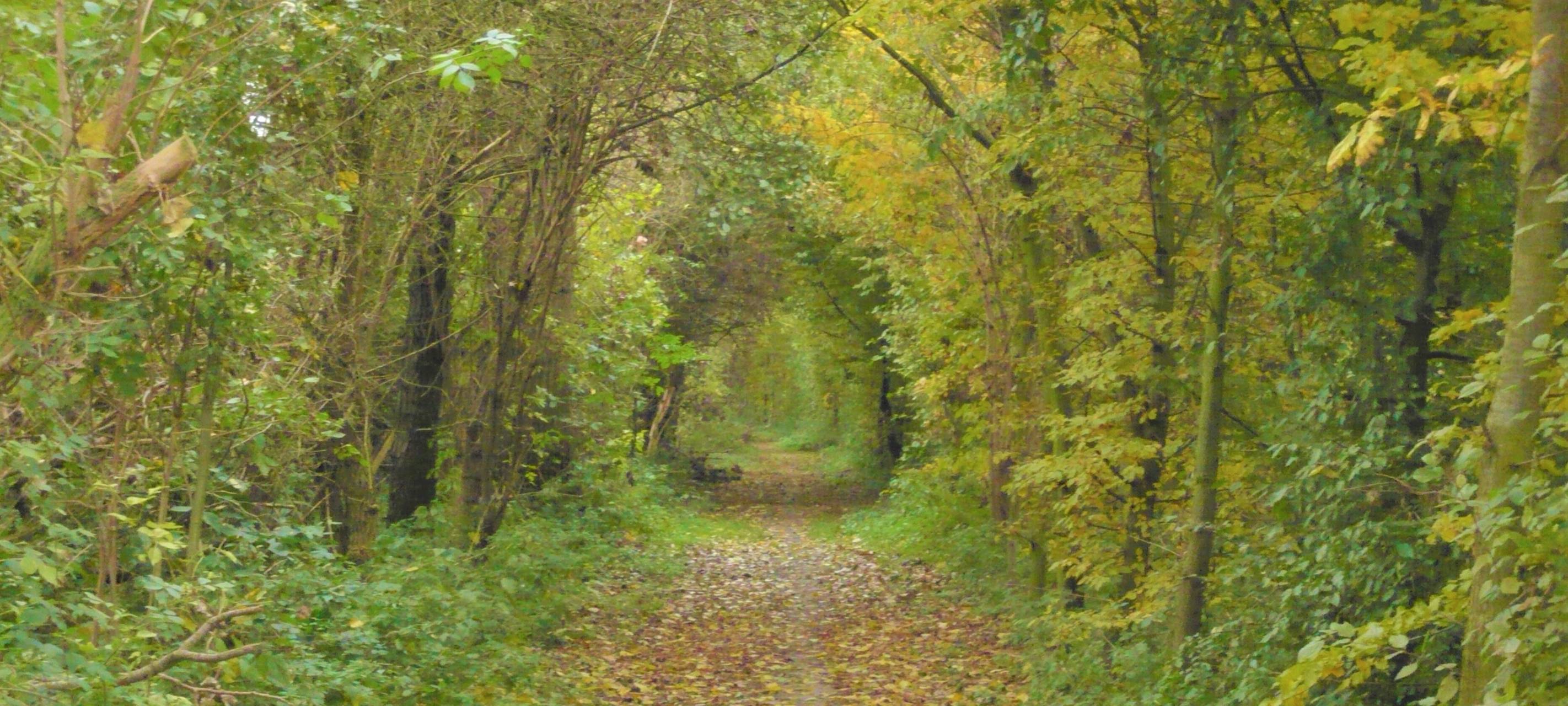 Rommerskirchen Strategischer Bahndamm