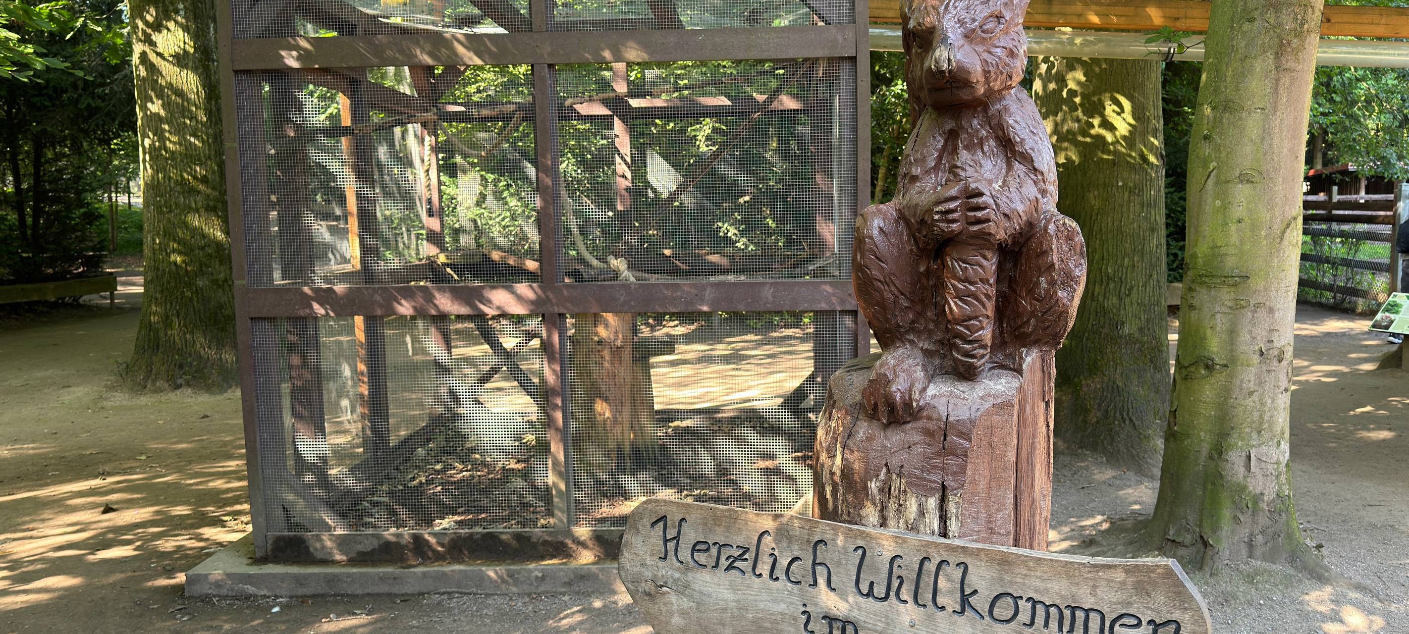 Im Tannenbusch Dormagen werden Eichhörnchen ausgewildert