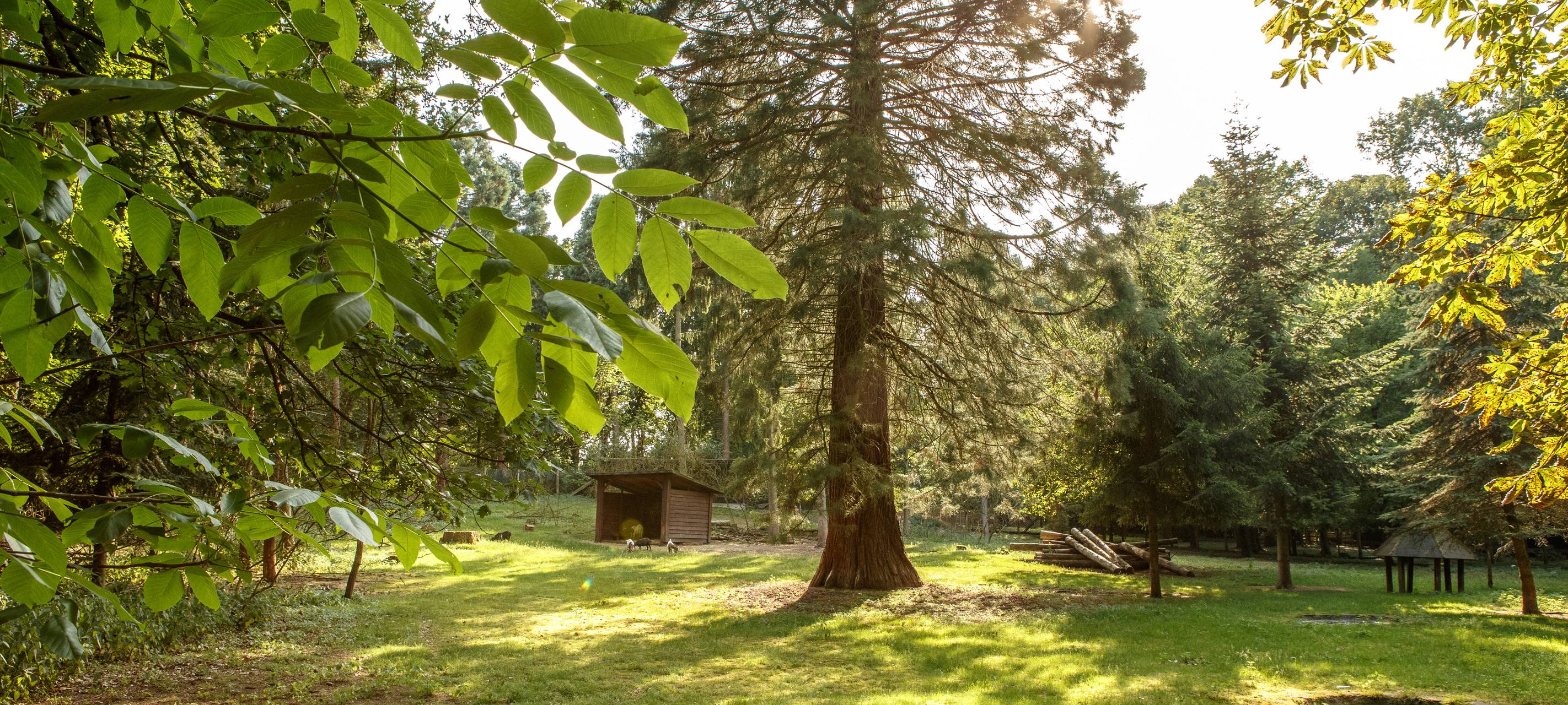 Dormagen Tannenbusch Tierpark