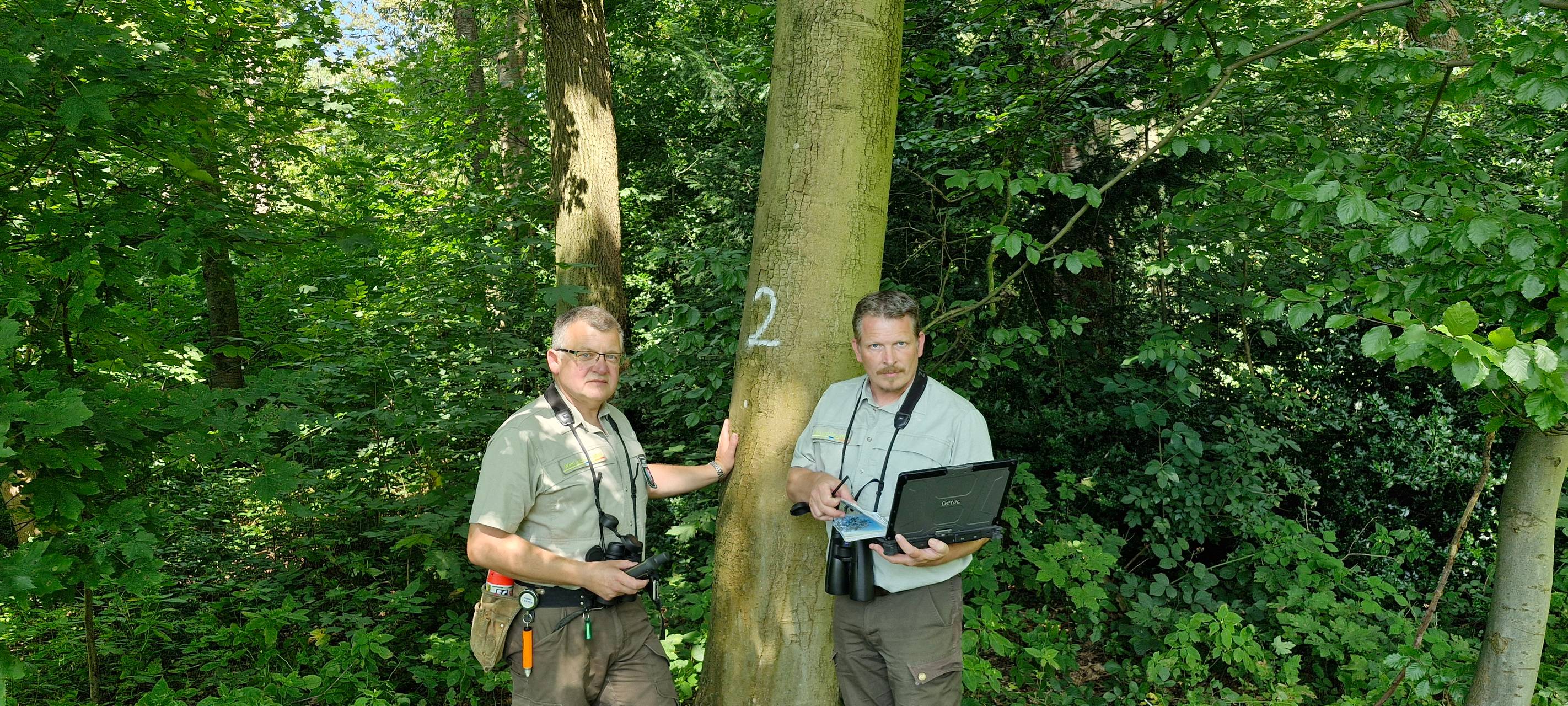 Wie geht es dem Wald im Rhein-Kreis Neuss?