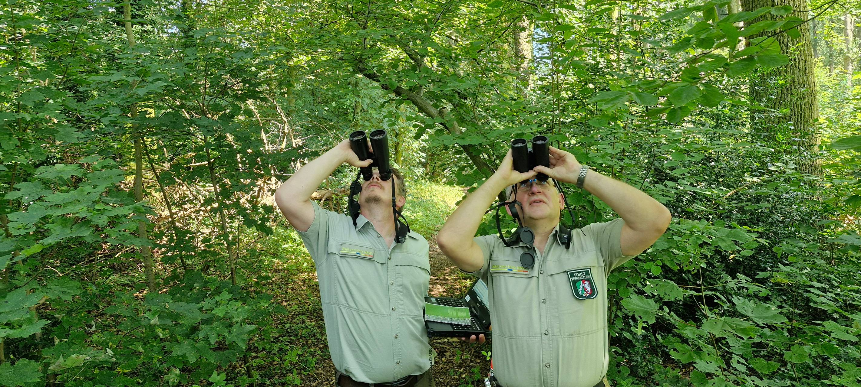 Wie geht es dem Wald im Rhein-Kreis Neuss?