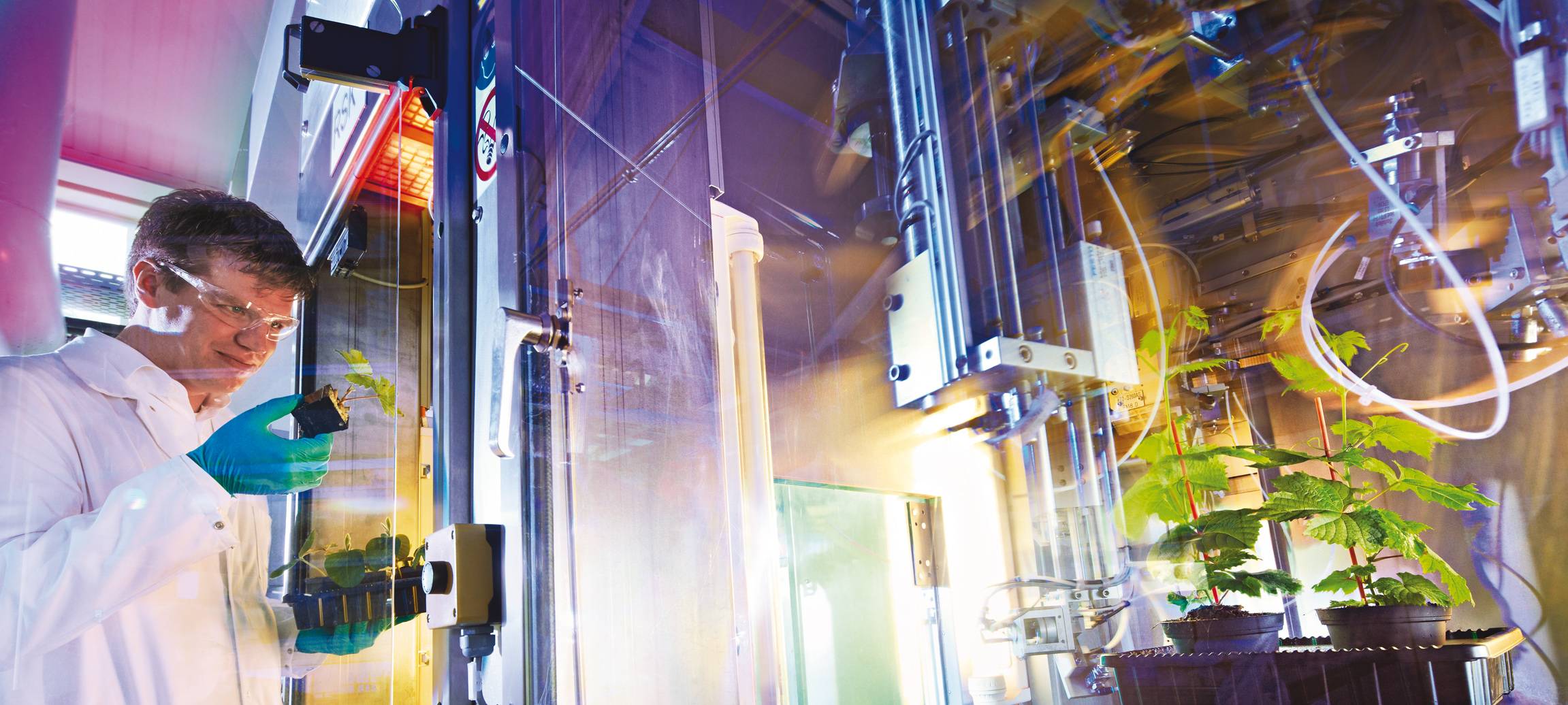 Bayer Dormagen Crop Science