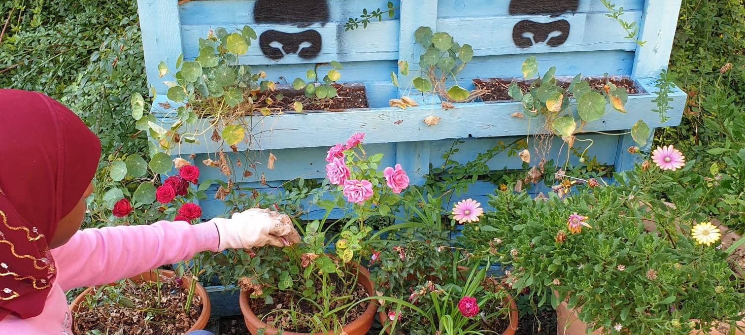 Mobbing, Streit und Ärger an Schulen durch Religion?