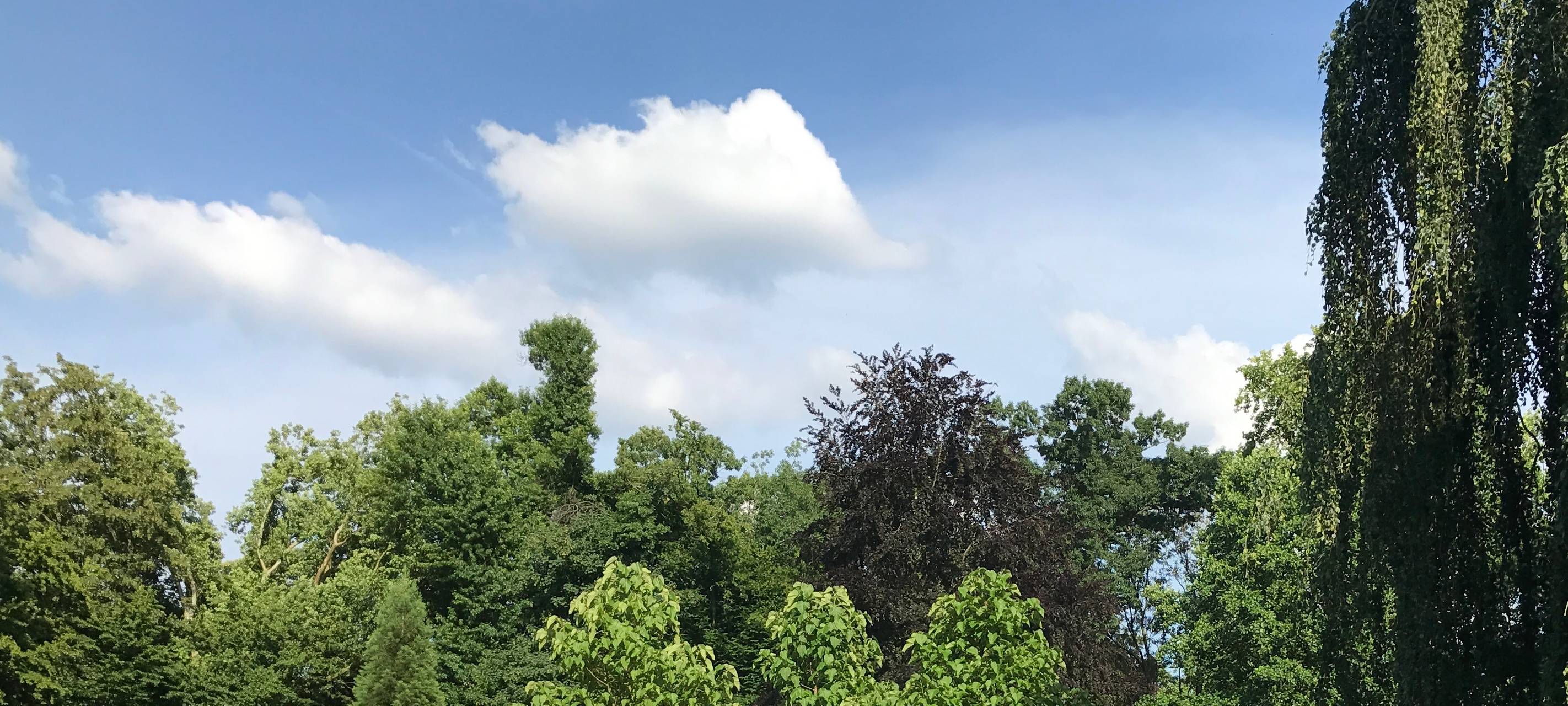 Yoga im Neusser Stadtgarten