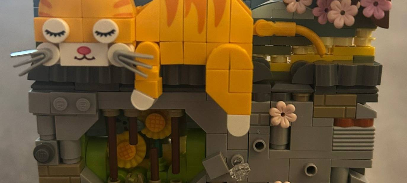 Super-Katze im Rhein-Kreis Neuss gekürt