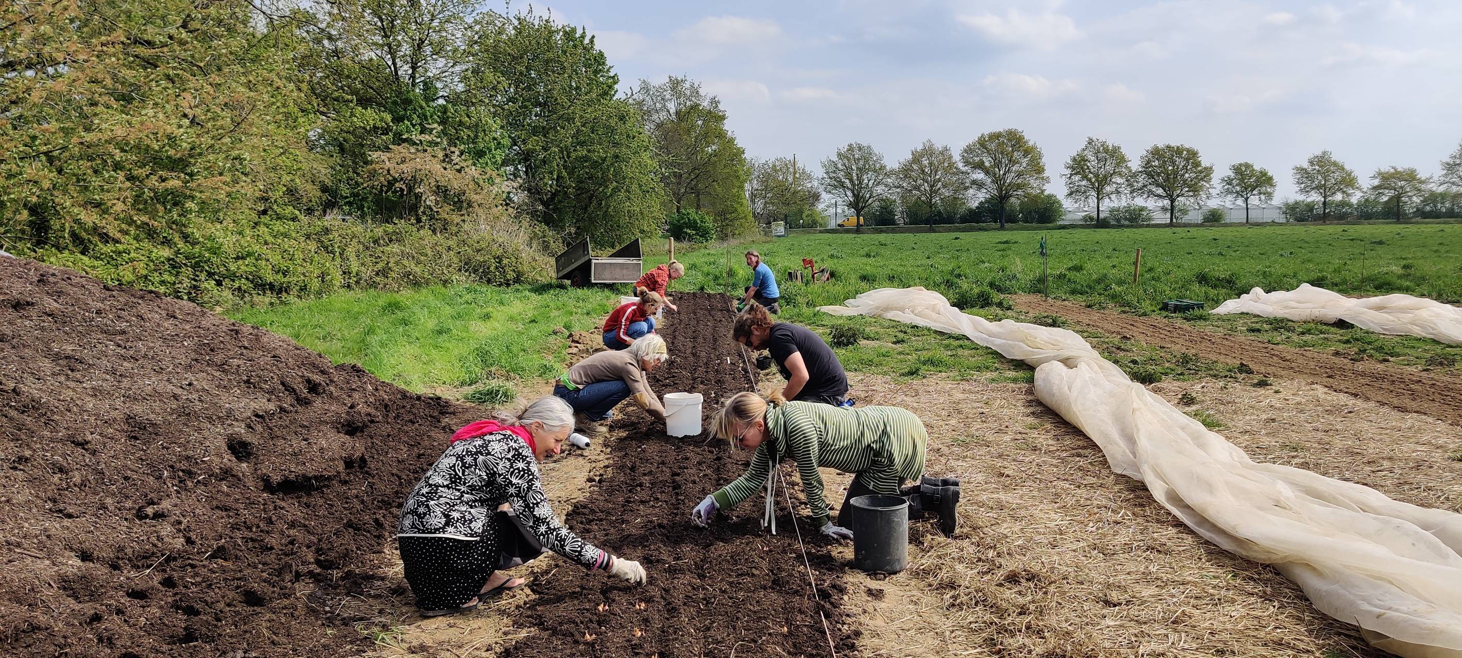 Solidarische Landwirtschaft: Mitglieder gesucht