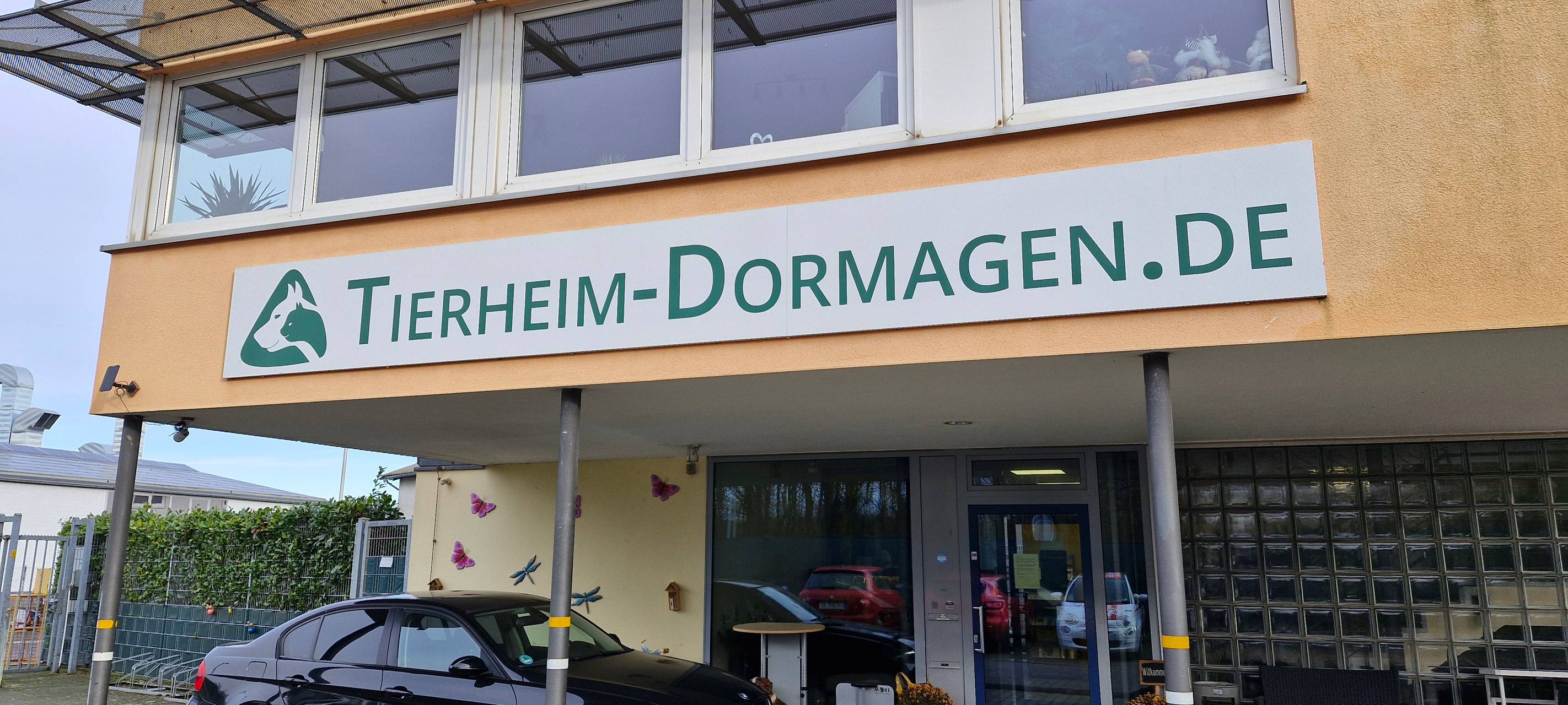 Tierheim Dormagen kurz vor dem Aus