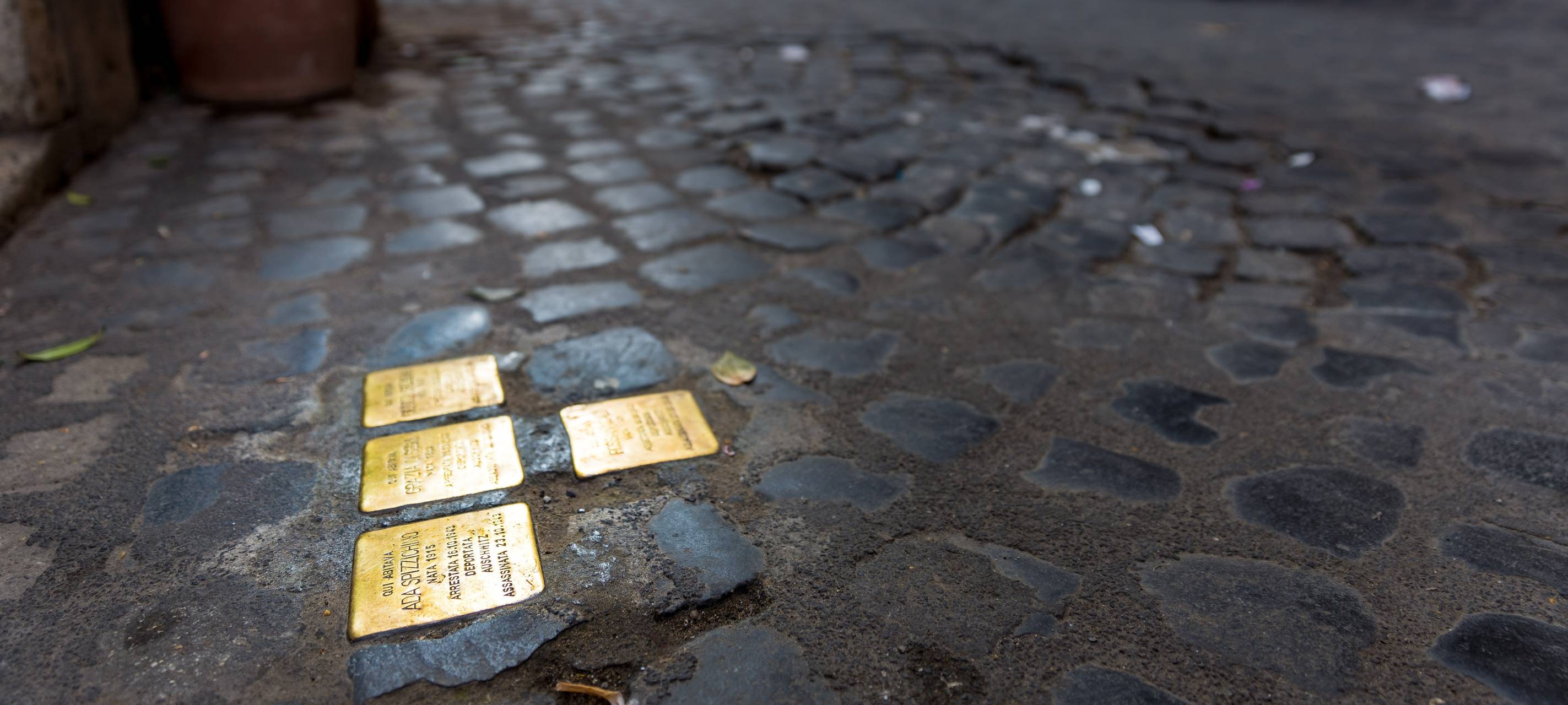 Gedenk-Stolpersteine auf einer Straße