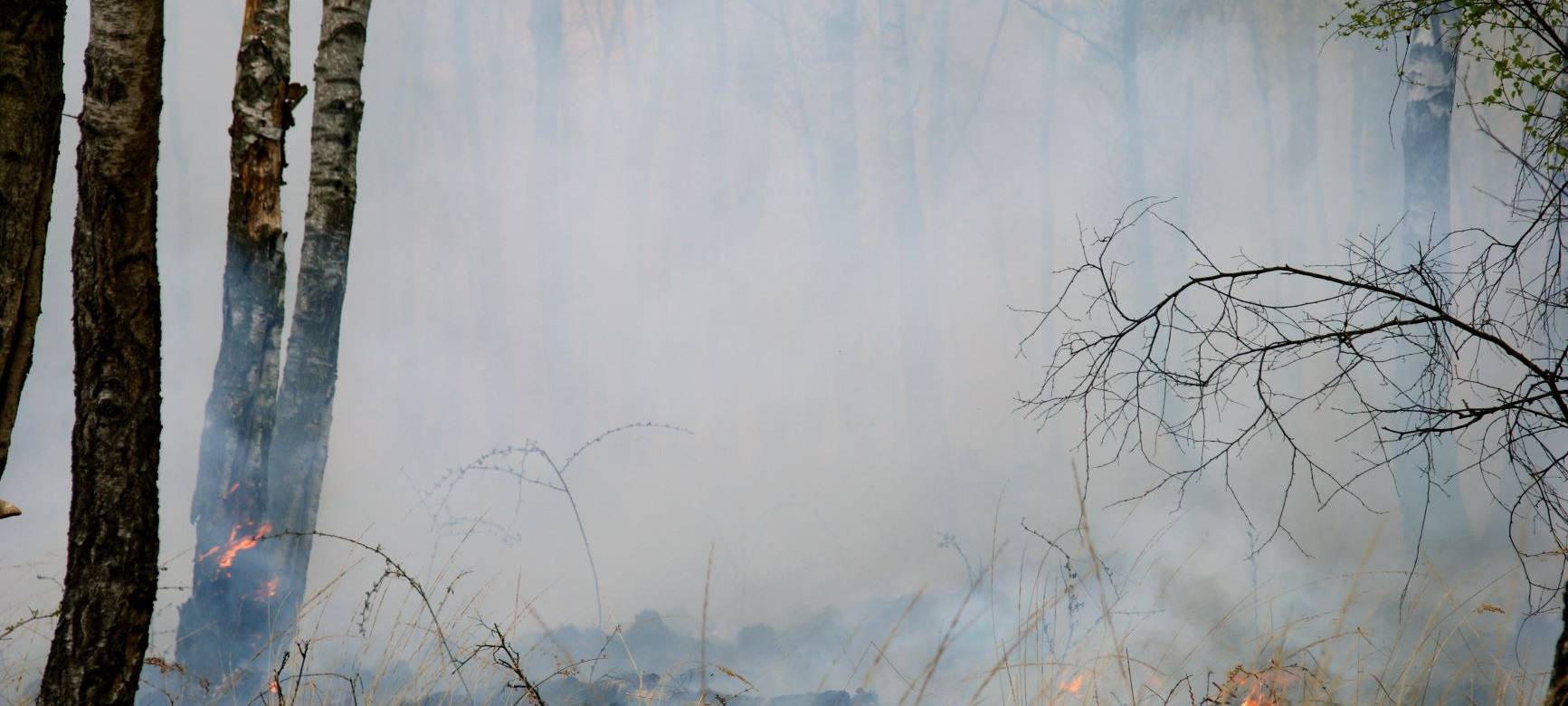 Waldbrandgefahr wegen Hitze im Rhein-Kreis Neuss sehr hoch