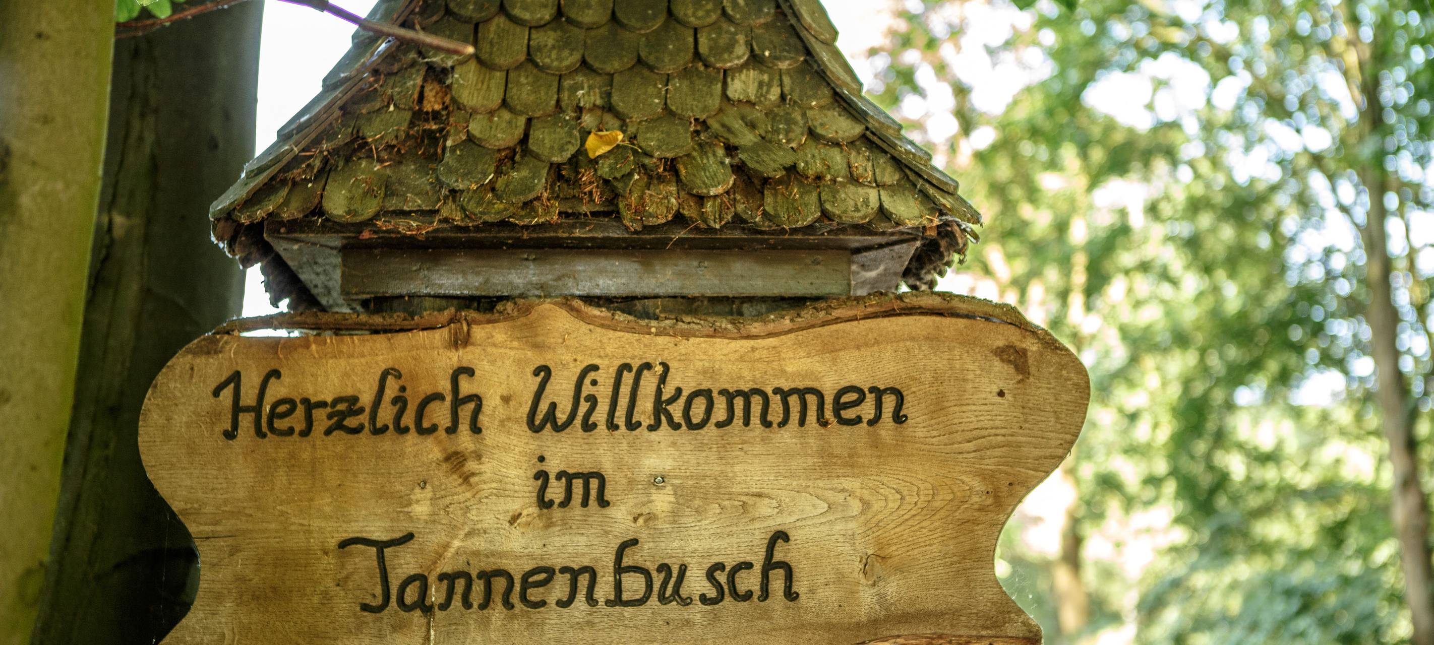 Tannenbuschwoche in Dormagen startet