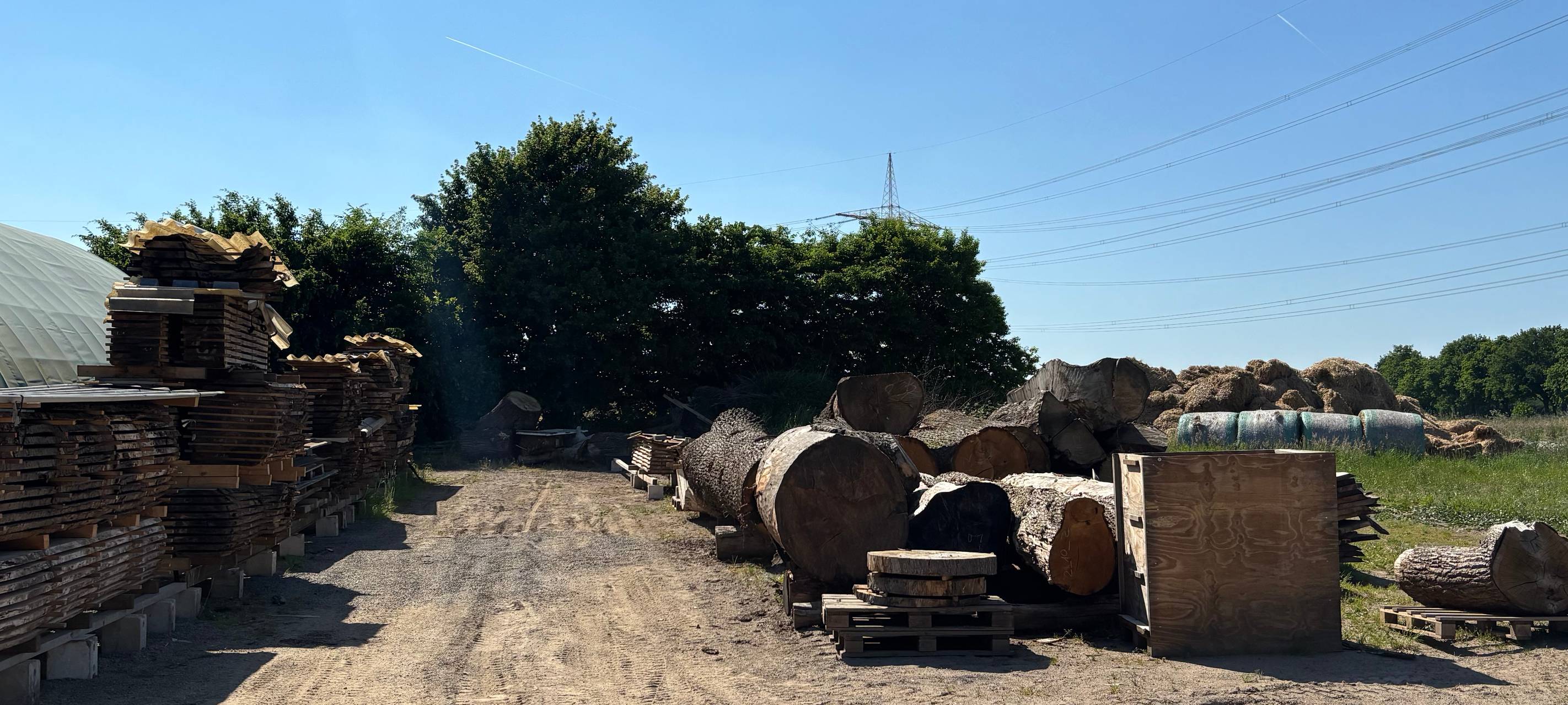 Besonderes Sägewerk in Meerbusch-Ossum