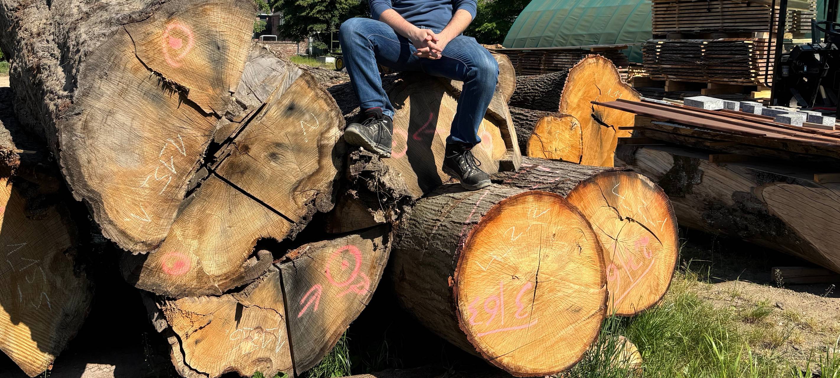 Besonderes Sägewerk in Meerbusch-Ossum