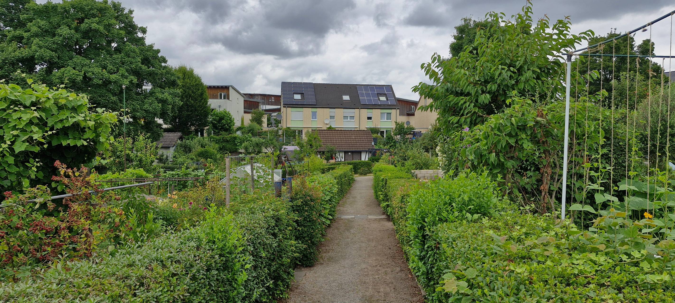 Bewerber für den "Besten Kleingartenverein NRWs" aus Neuss