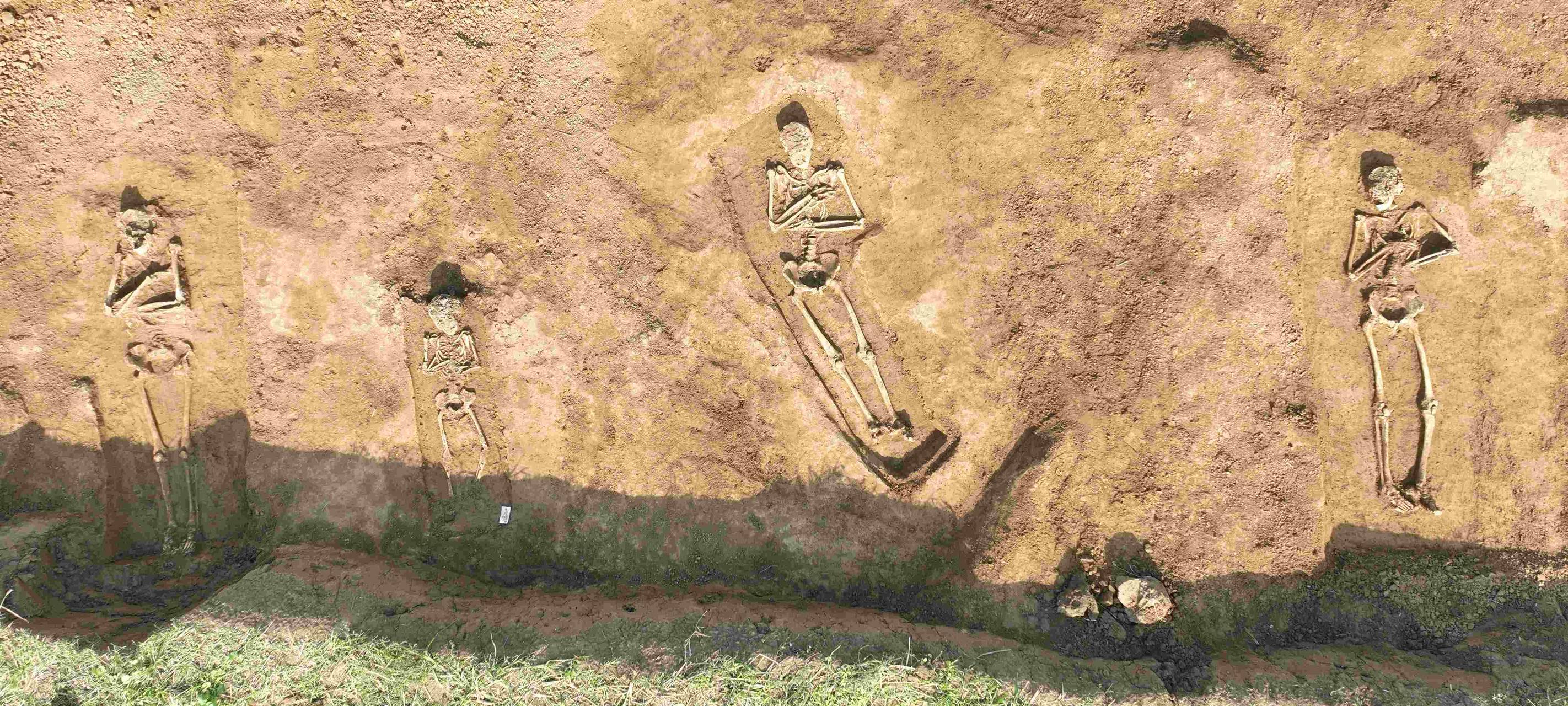 Skelett-Fund bei Arbeiten für Stromtrasse Richtung Meerbusch