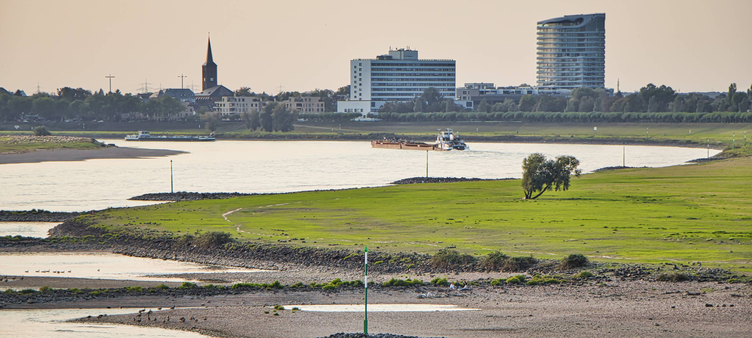 Badeverbot im Rhein: Ziehen Dormagen und Meerbusch nach?