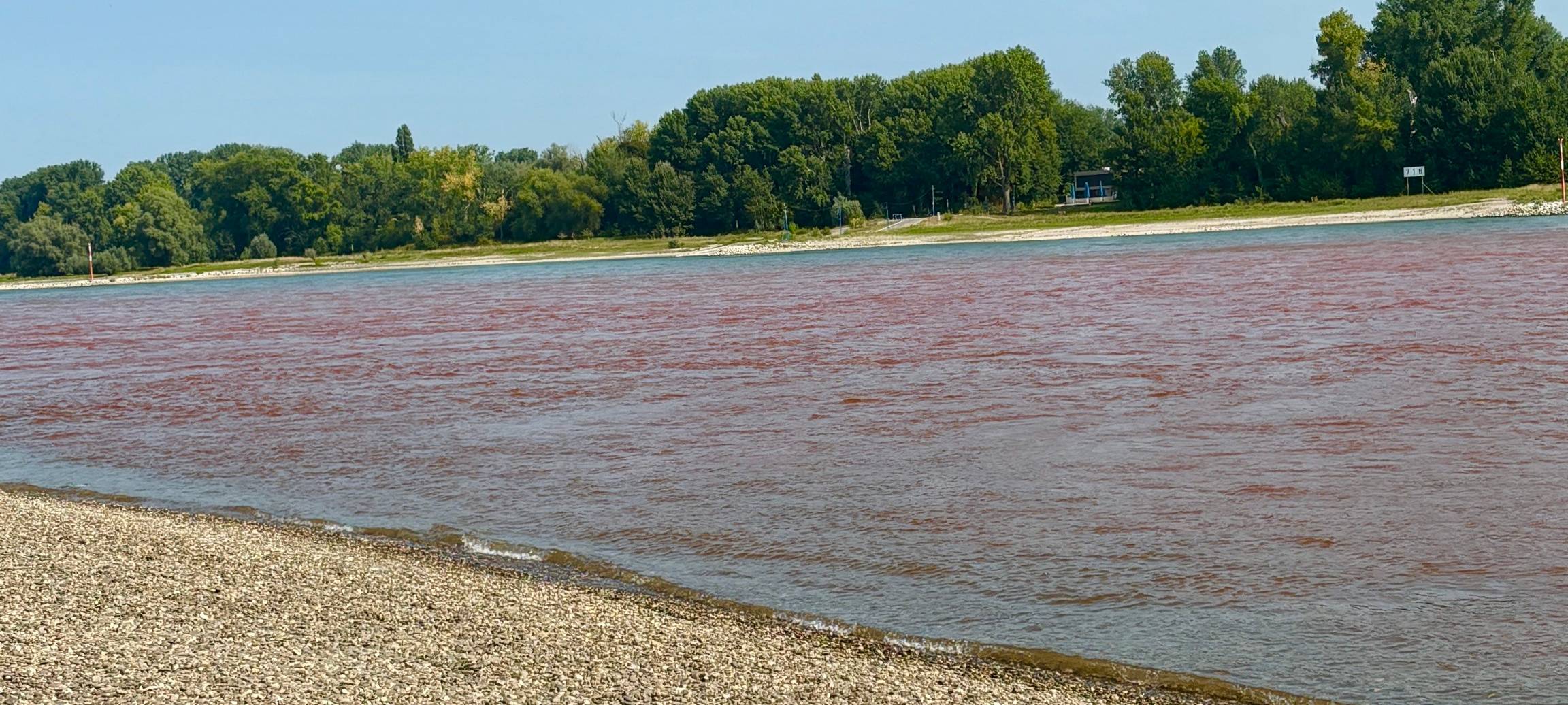Roter Rhein: In Neuss & Dormagen ist das Wasser gefärbt