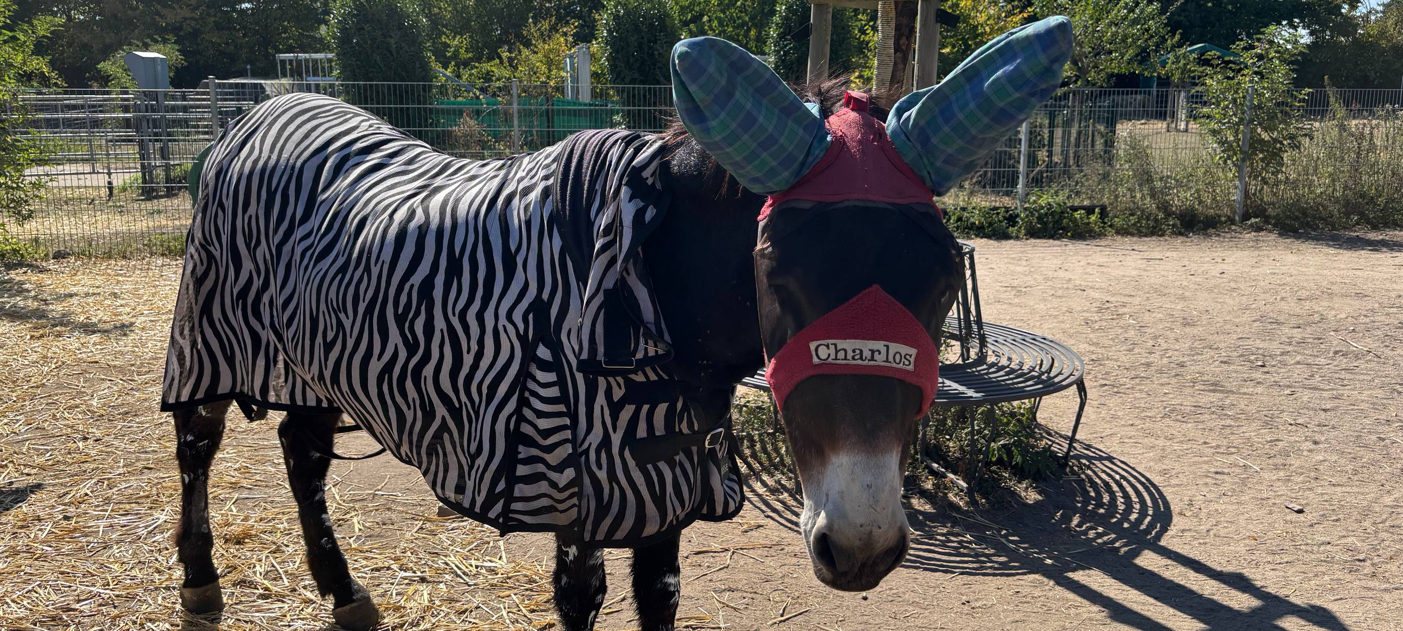 NRW-Verdienstorden für Betreiber des Eselparks in Zons