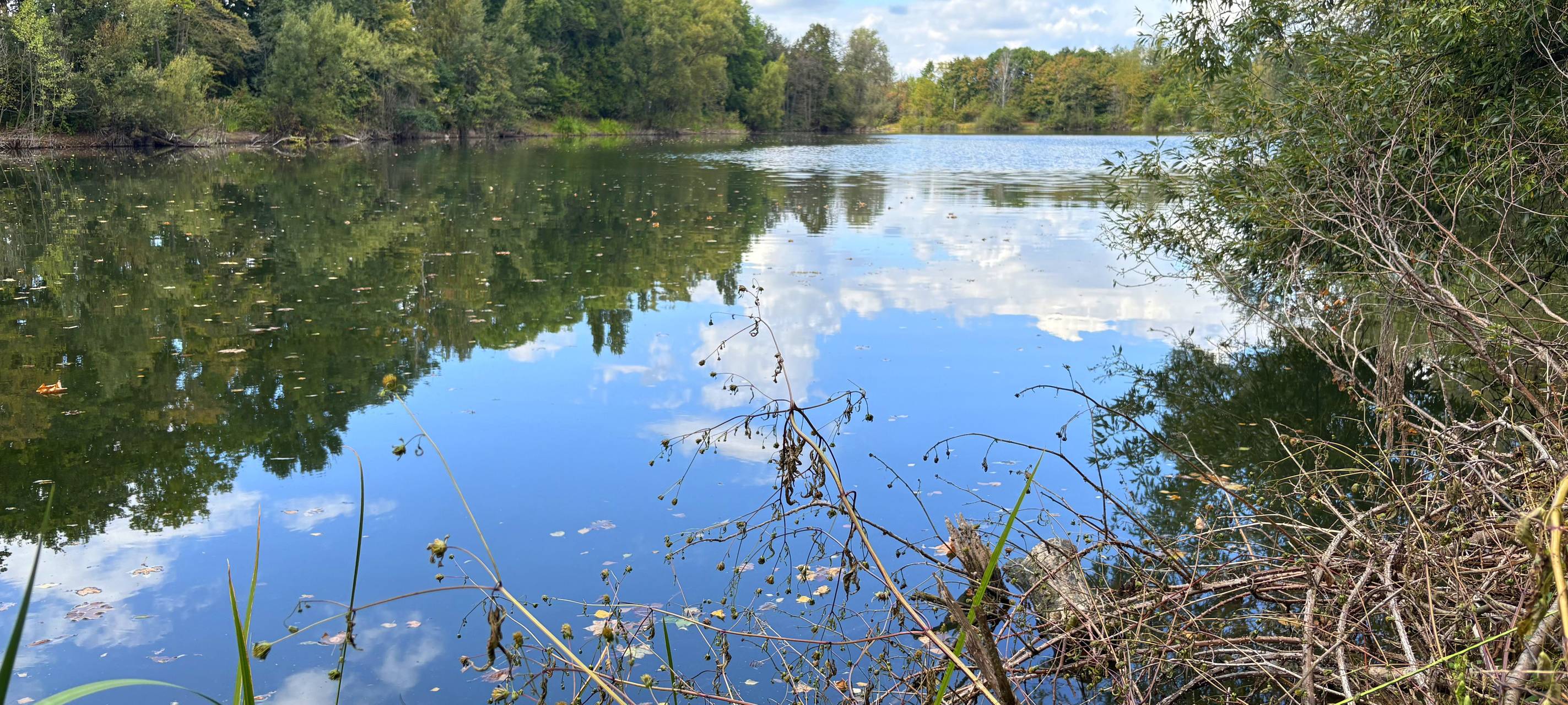 Meerbusch: 9,4 Hektar für Naturschutz überlassen