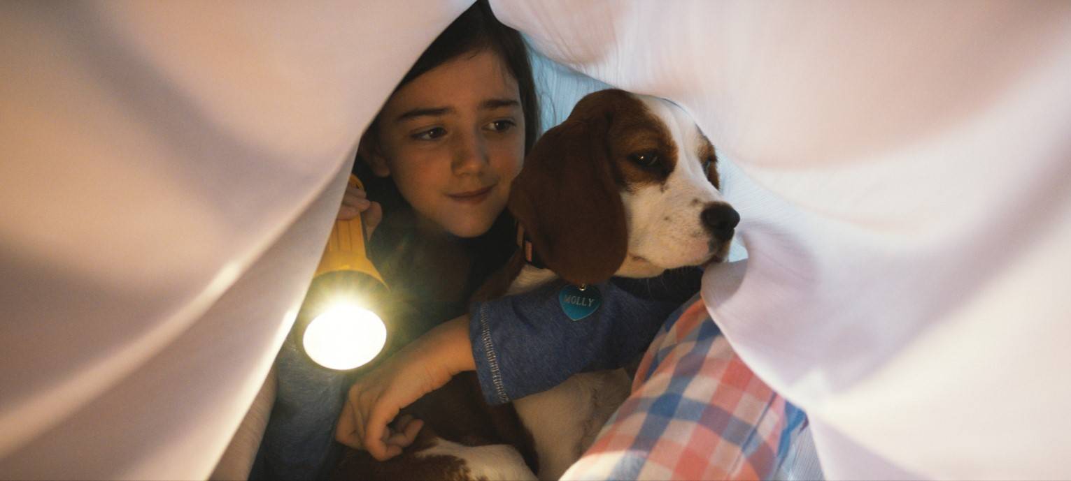 Bailey und CJ unter der Bettdecke - der Hund ist ihr Beschützer!