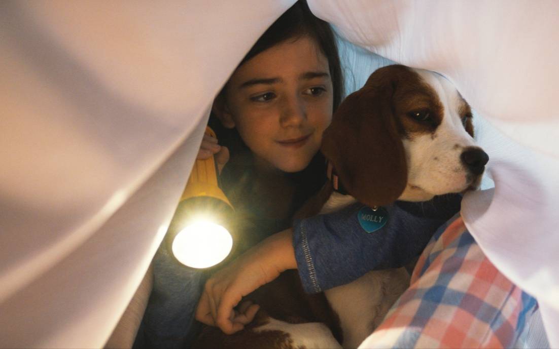 Bailey und CJ unter der Bettdecke - der Hund ist ihr Beschützer!