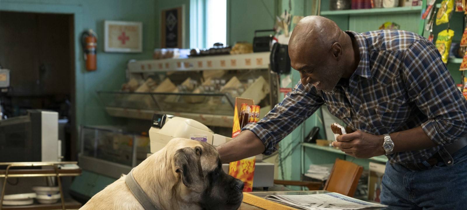 Bailey lässt sich in einem Laden vom Ladenbesitzer streicheln.