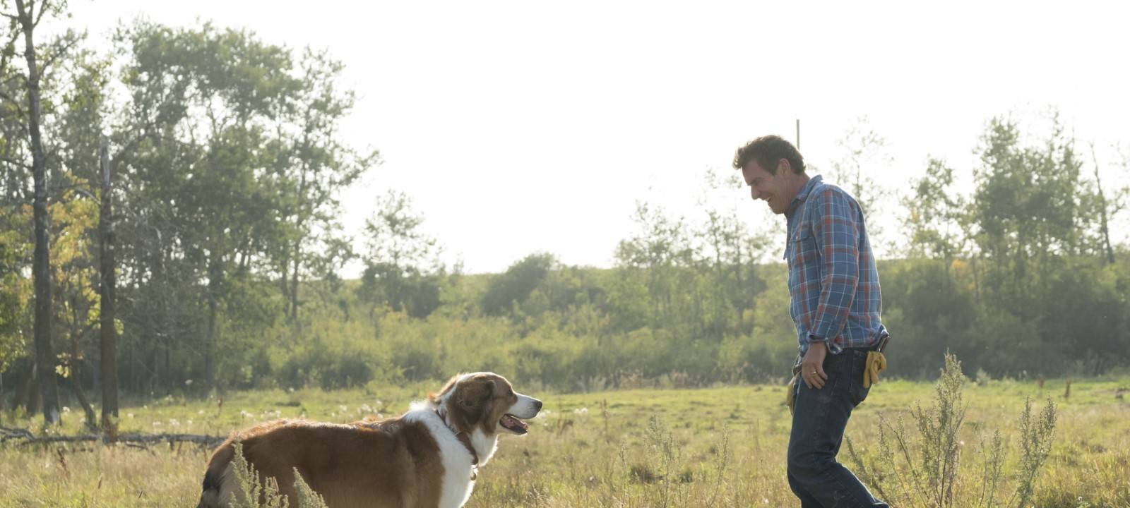 Bailey und sein Herrchen Ethan auf einer Wiese.