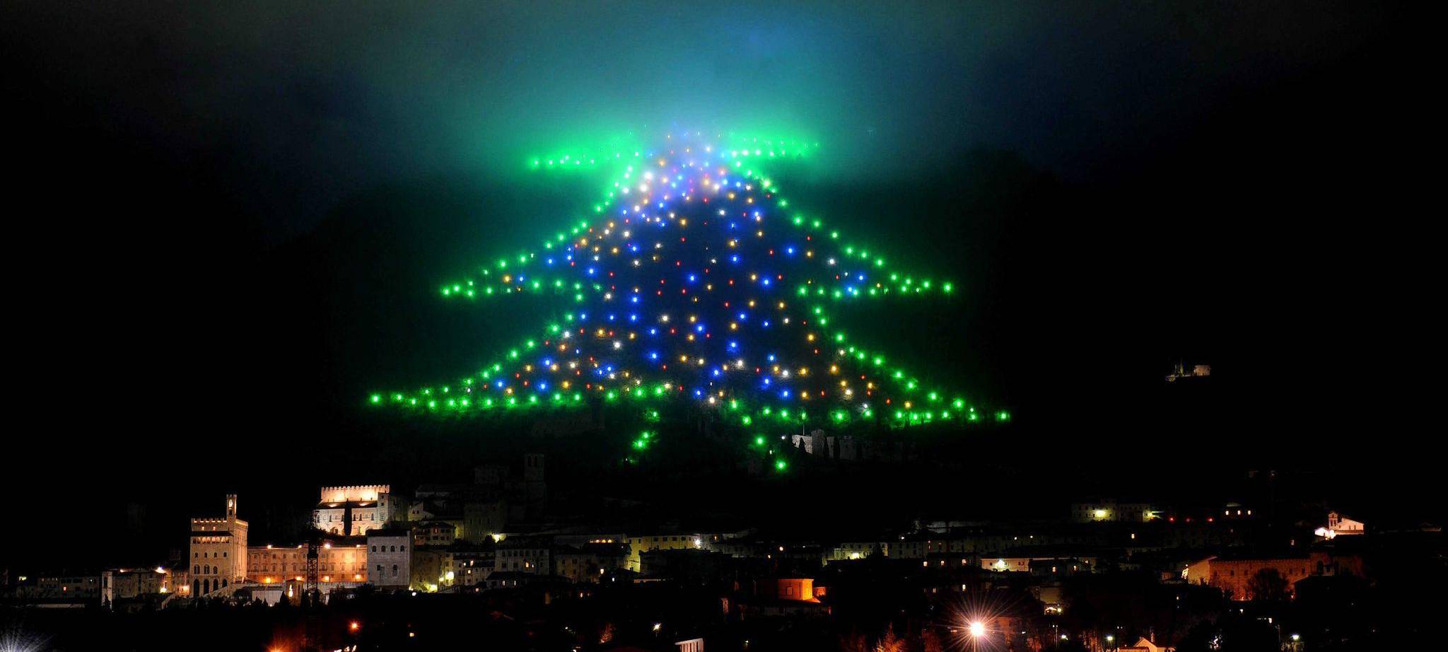 Weihnachtsbaum an den Hängen des Monte Ingino im Apennin