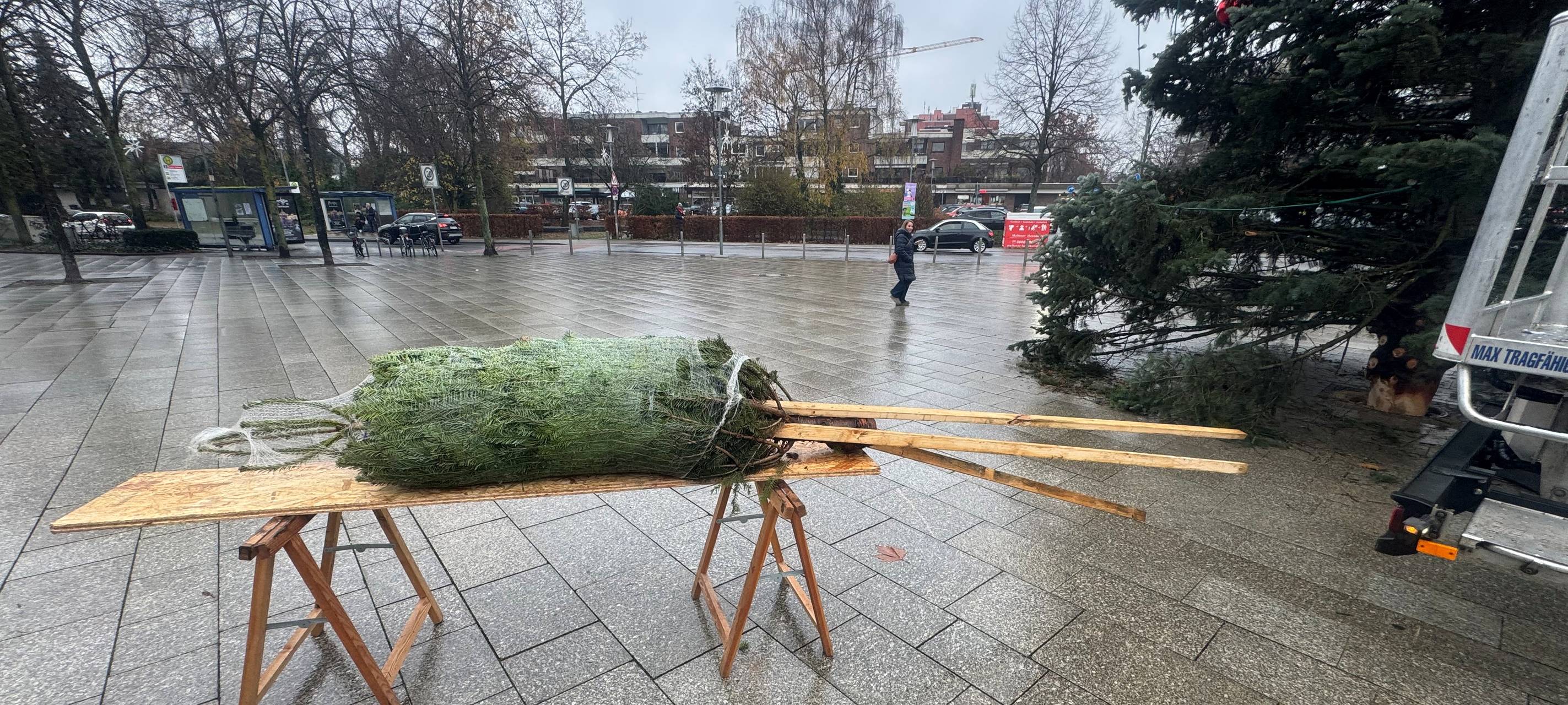 Der "Pannenbaum" von Kaarst