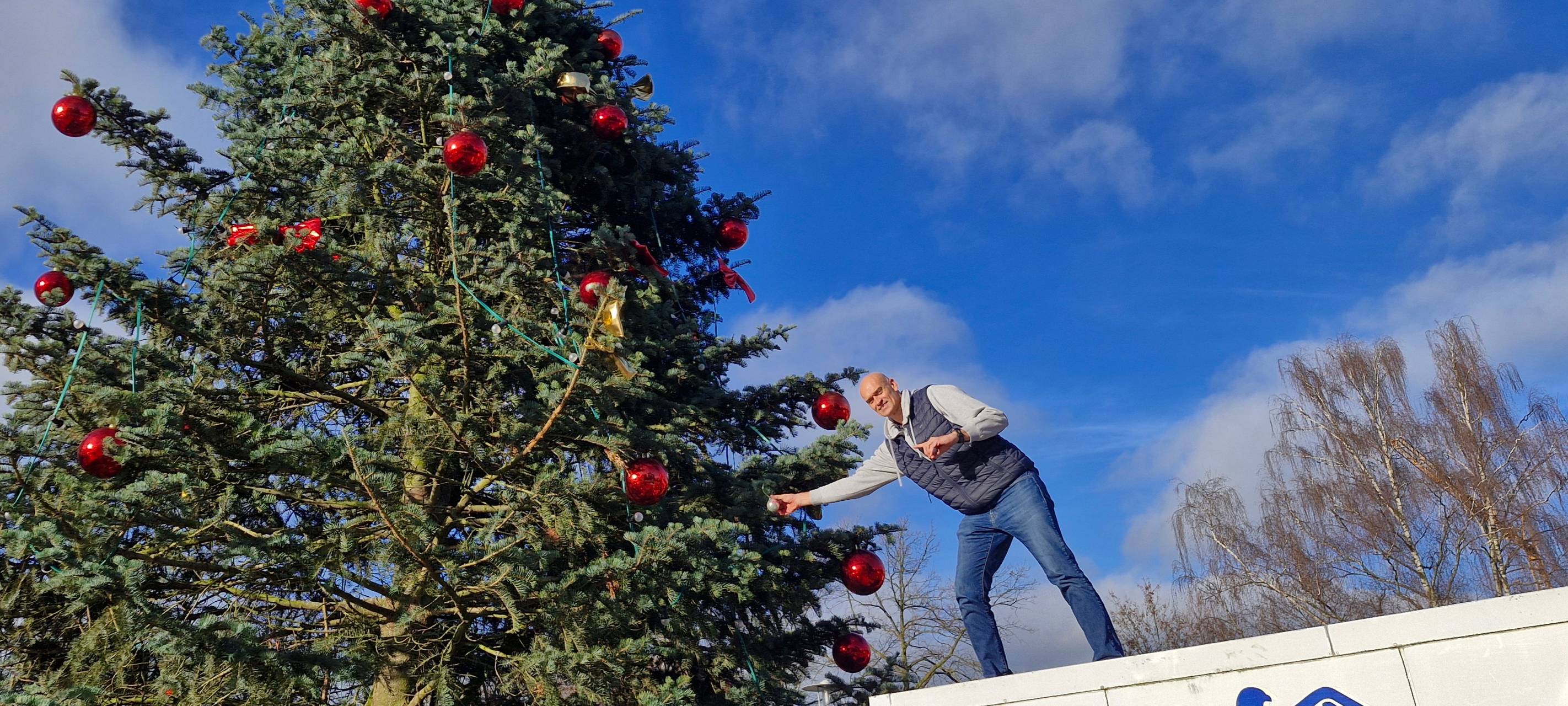Der "Pannenbaum" von Kaarst